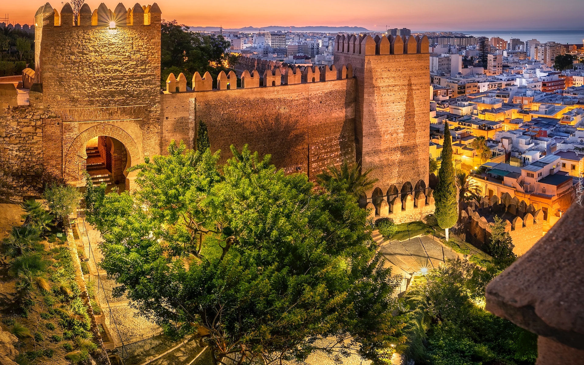 Hiszpania, Region Andaluzja, Malaga, Twierdza Alcazaba, Drzewo