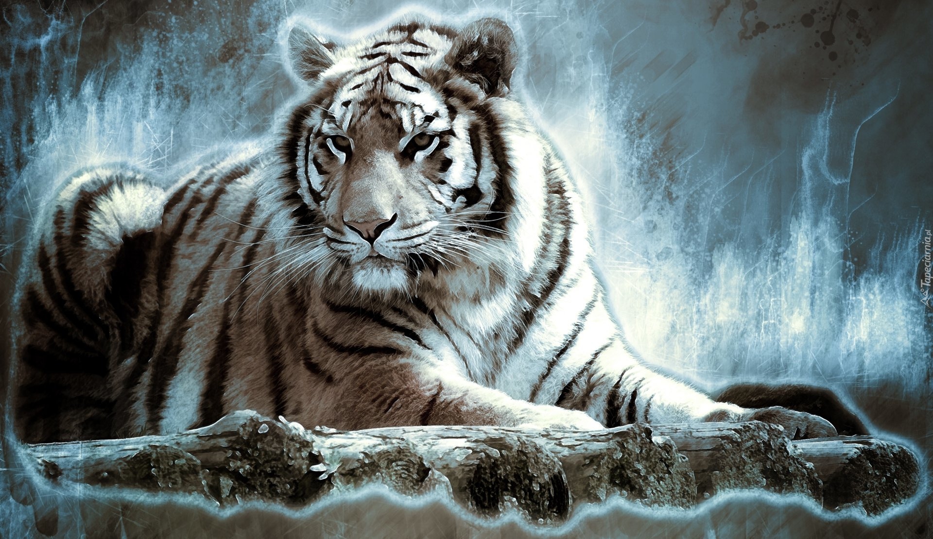Leżący, Tygrys, Paintography