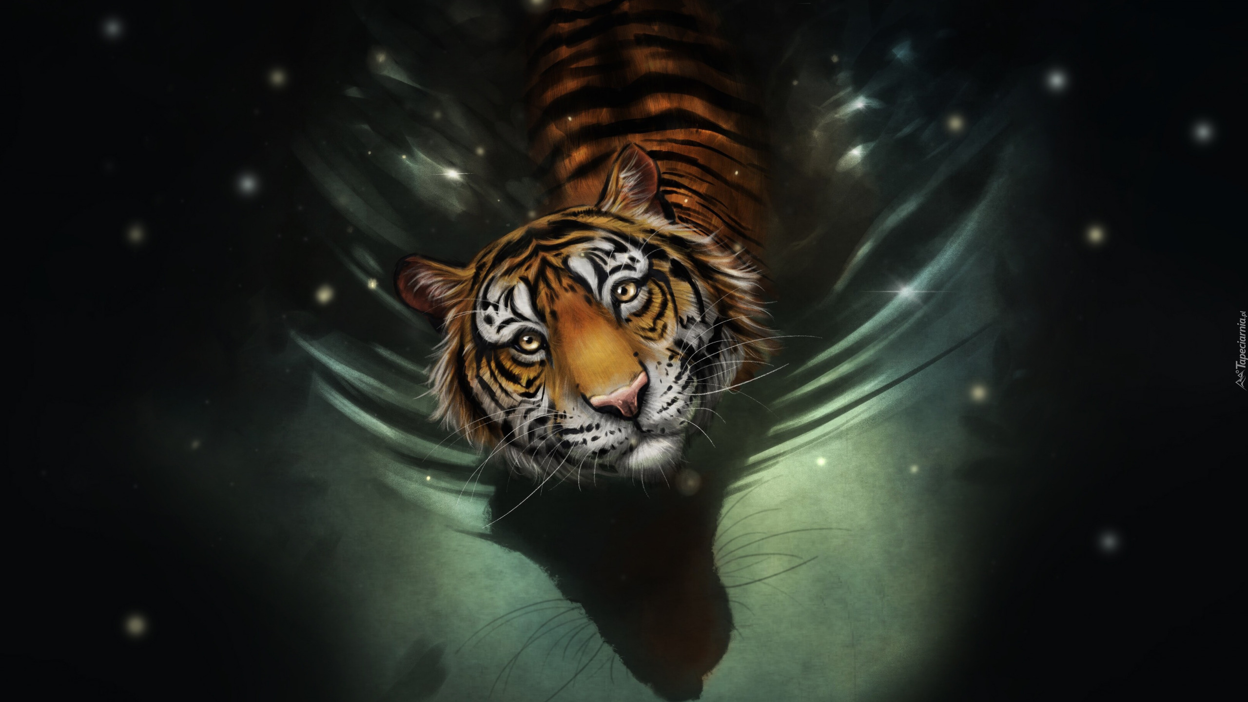 Tygrys, Woda, Grafika
