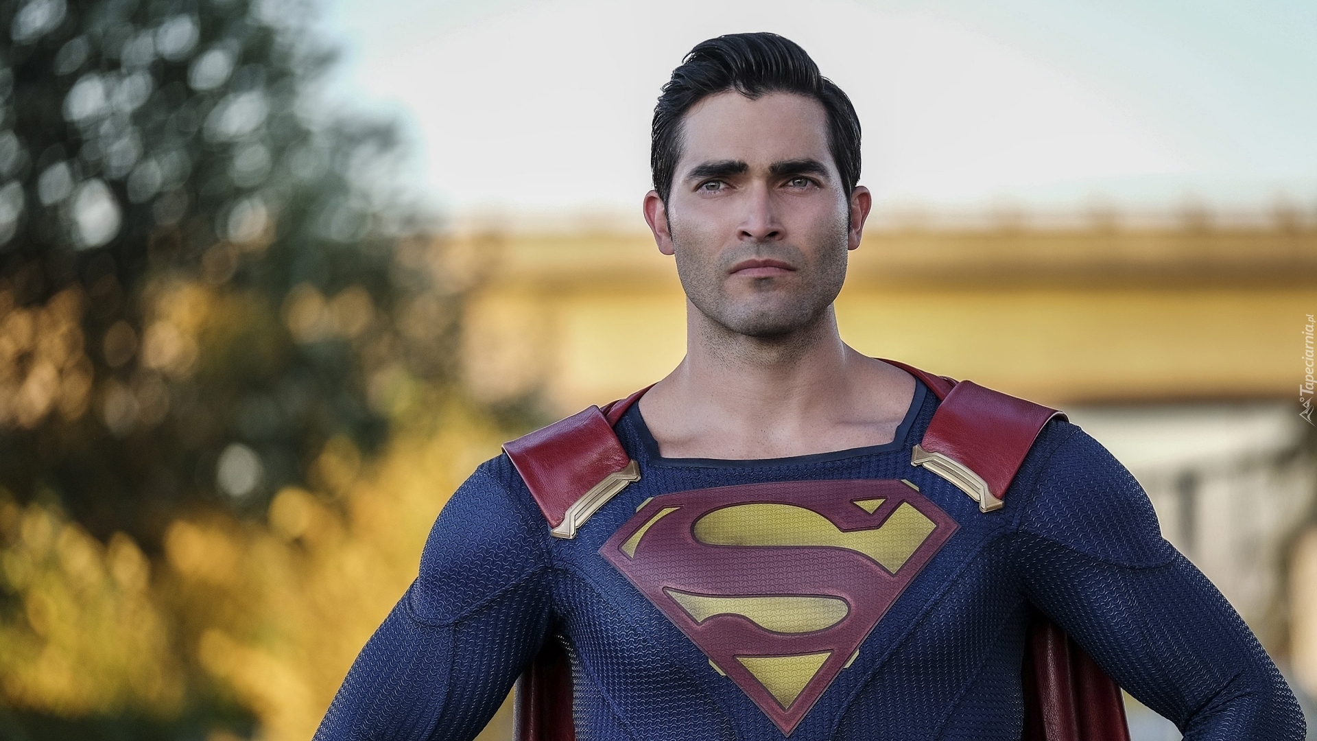 Aktor, Tyler Hoechlin, Serial, Superman i Lois