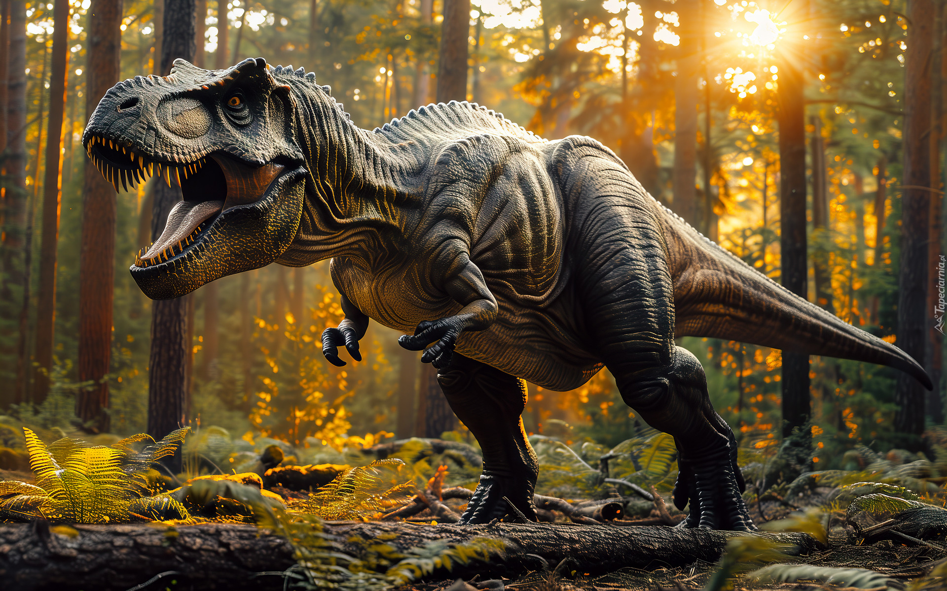 Grafika, Dinozaur, Tyranozaur, Las, Promienie słońca