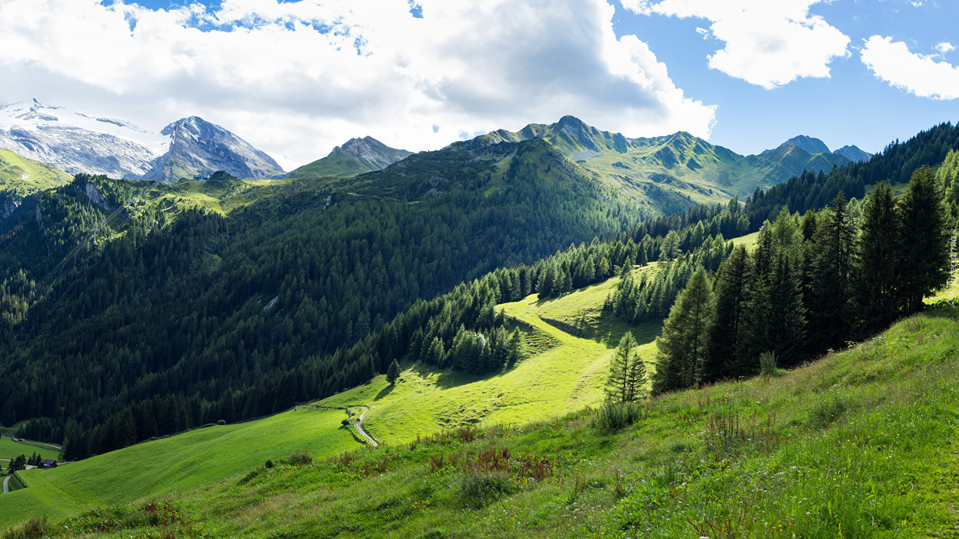 Włochy, Tyrol, Góry Alpy, Las, Drzewa, Trawa, Roślinność, Niebo