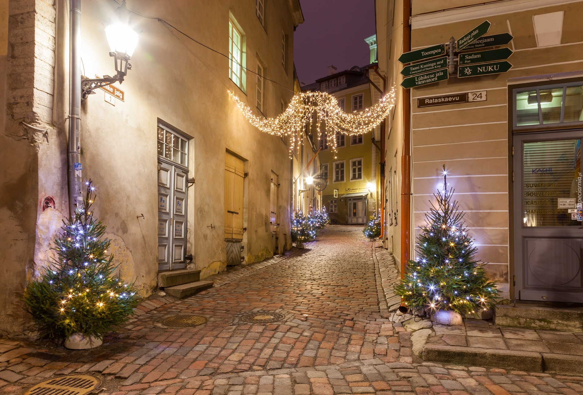 Boże Narodzenie, Udekorowana, Choinka, Światła, Dekoracja, Domy, Ulica, Tallinn, Estonia
