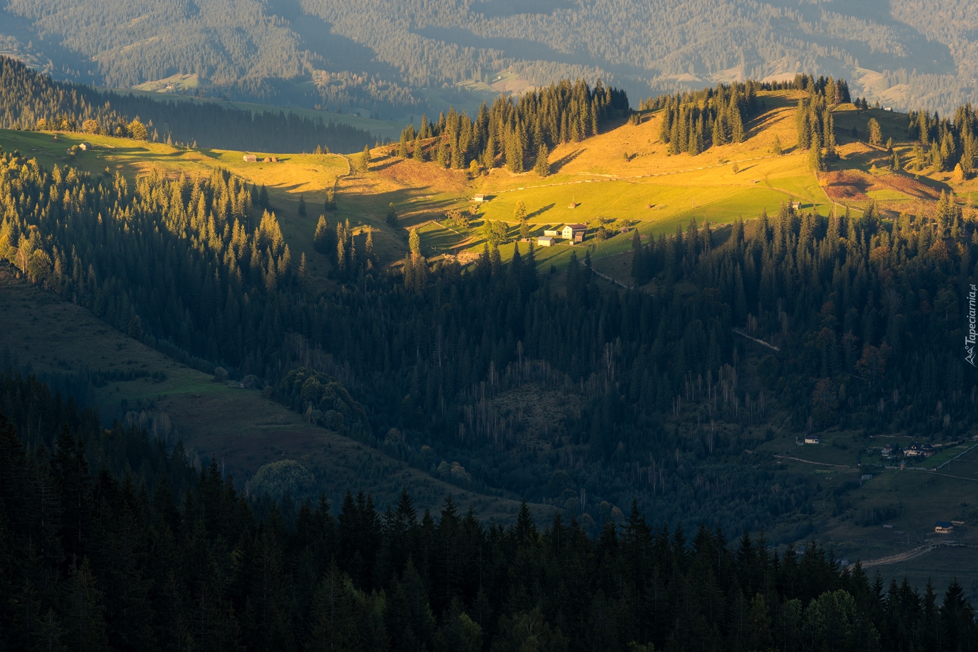 Ukraina, Góry Karpaty, Dolina, Lasy, Domy