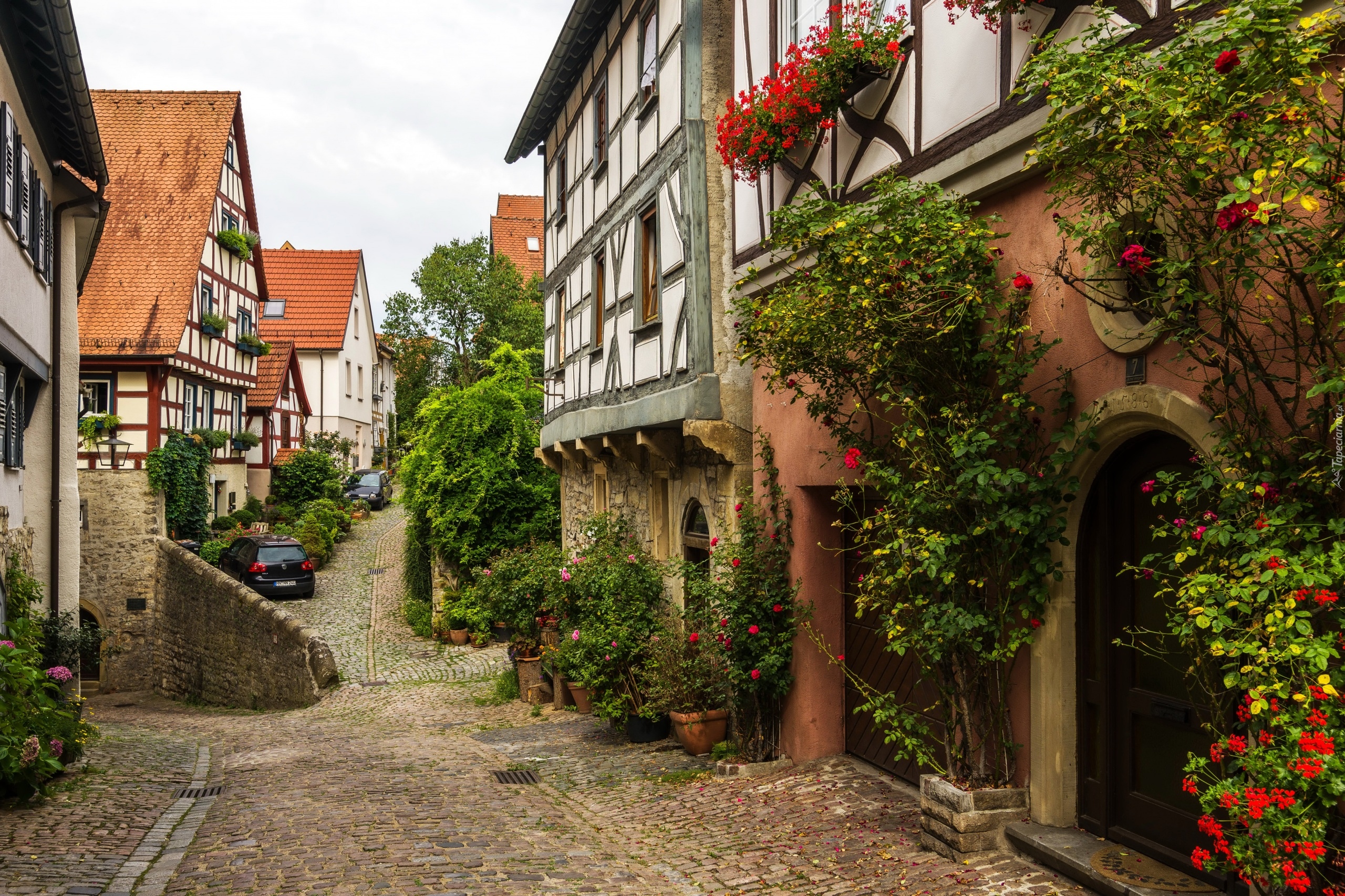 Niemcy, Wimpfen, Domy, Uliczka
