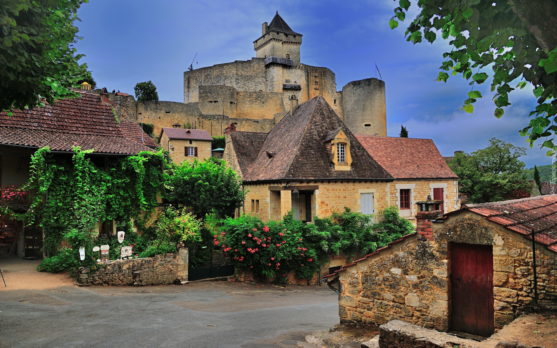 Domy, Ulica, Zamek, Chateau de Castelnaud, Kwiaty, Roślinność, Płot, Francja