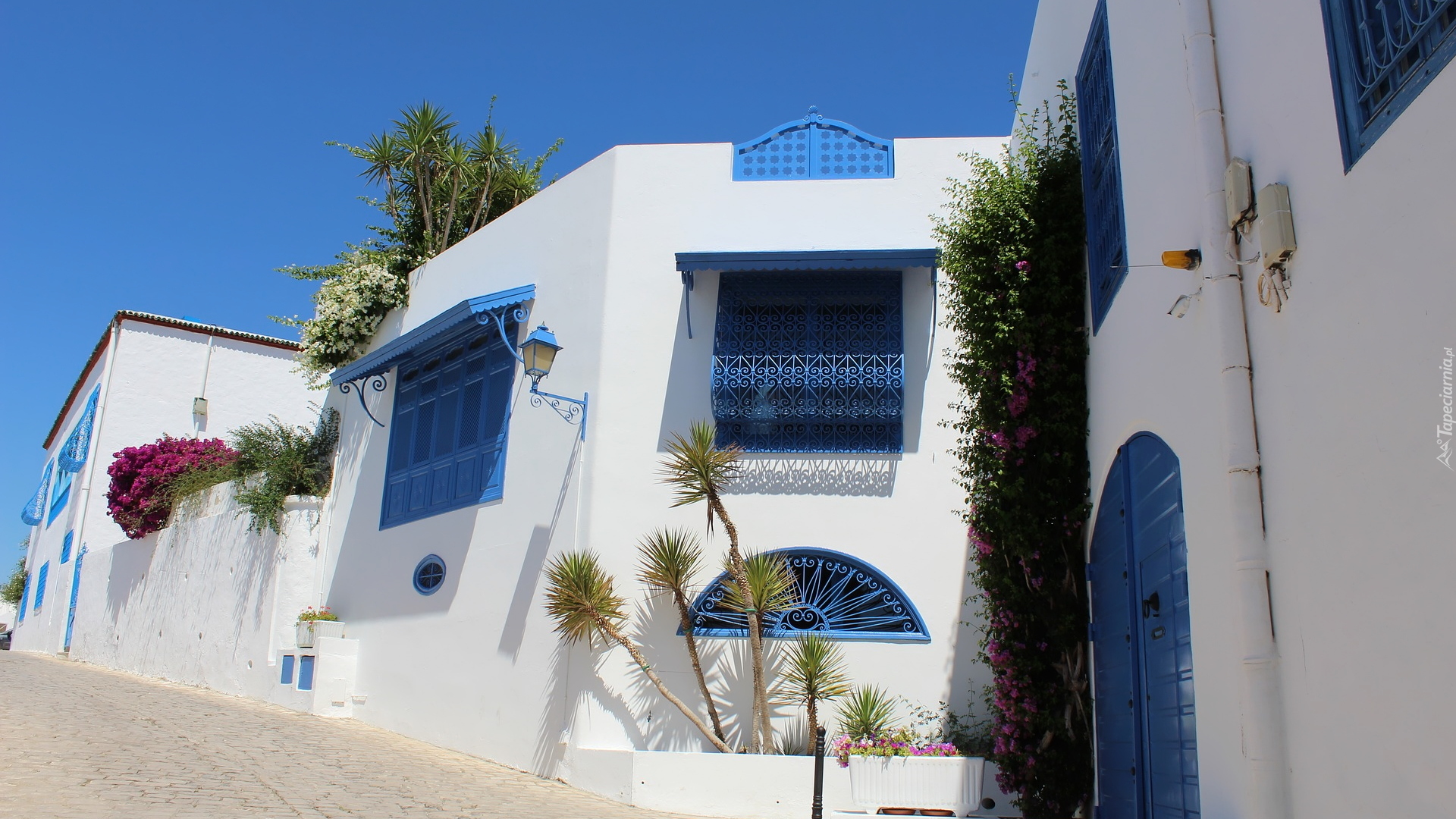 Biały, Dom, Niebieskie, Okna, Drzwi, Sidi Bou Said, Tunezja