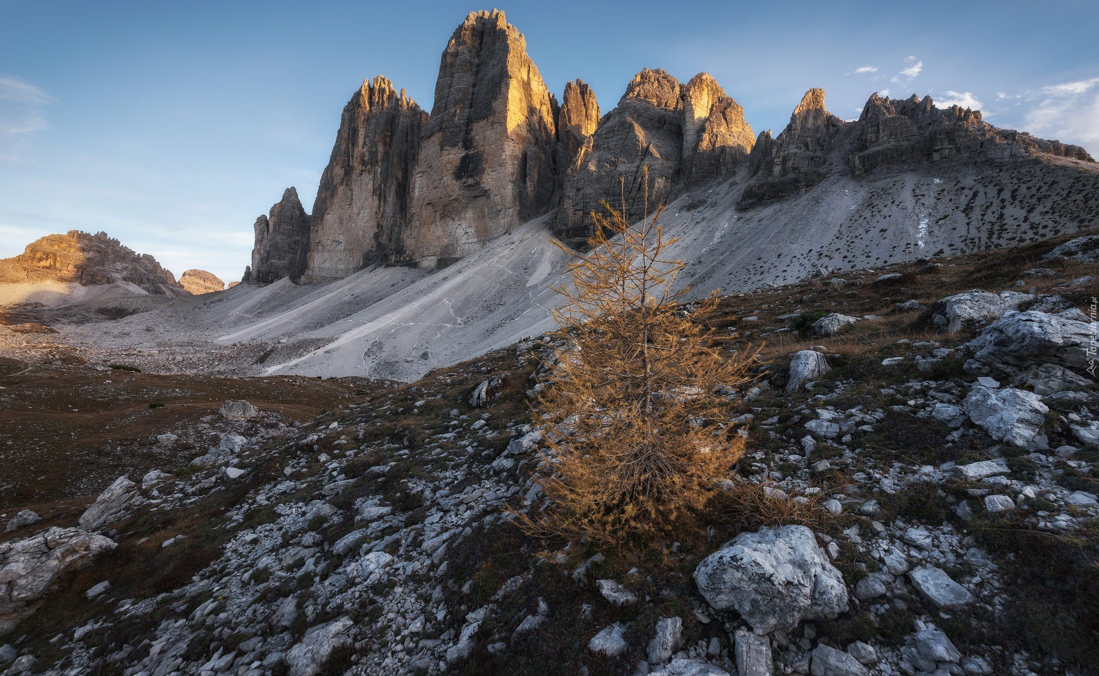 Drzewo, Kamienie, Góry, Tre Cime di Lavaredo, Dolomity, Włochy