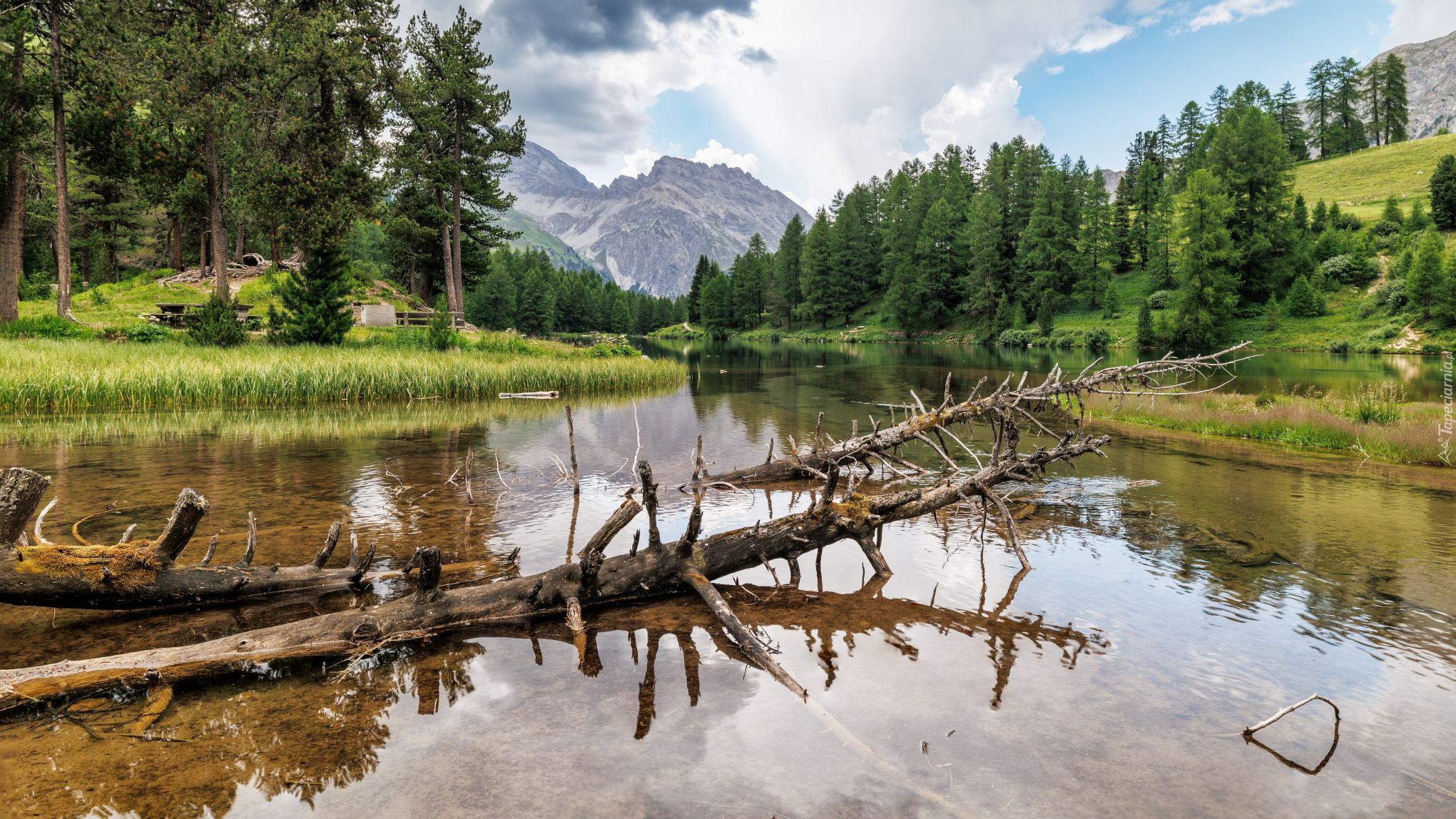 Góry, Rzeka, Zielone, Drzewa