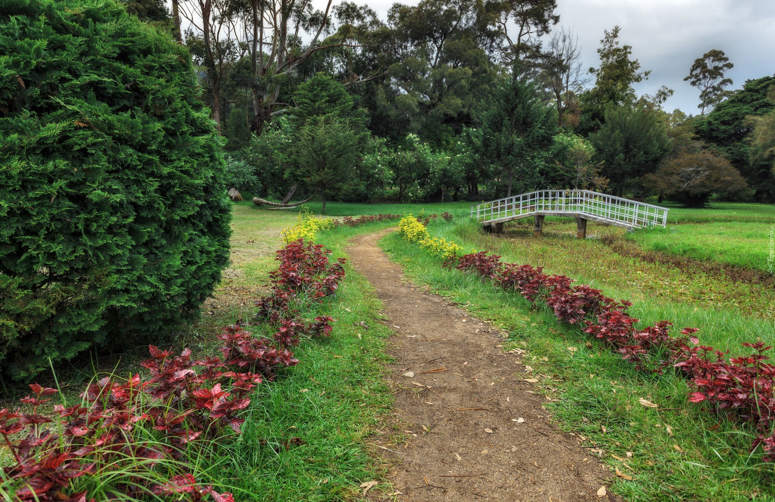 Sri Lanka, Nuwara Eliya, Victoria Park, Drzewa, Kwiaty, Mostek