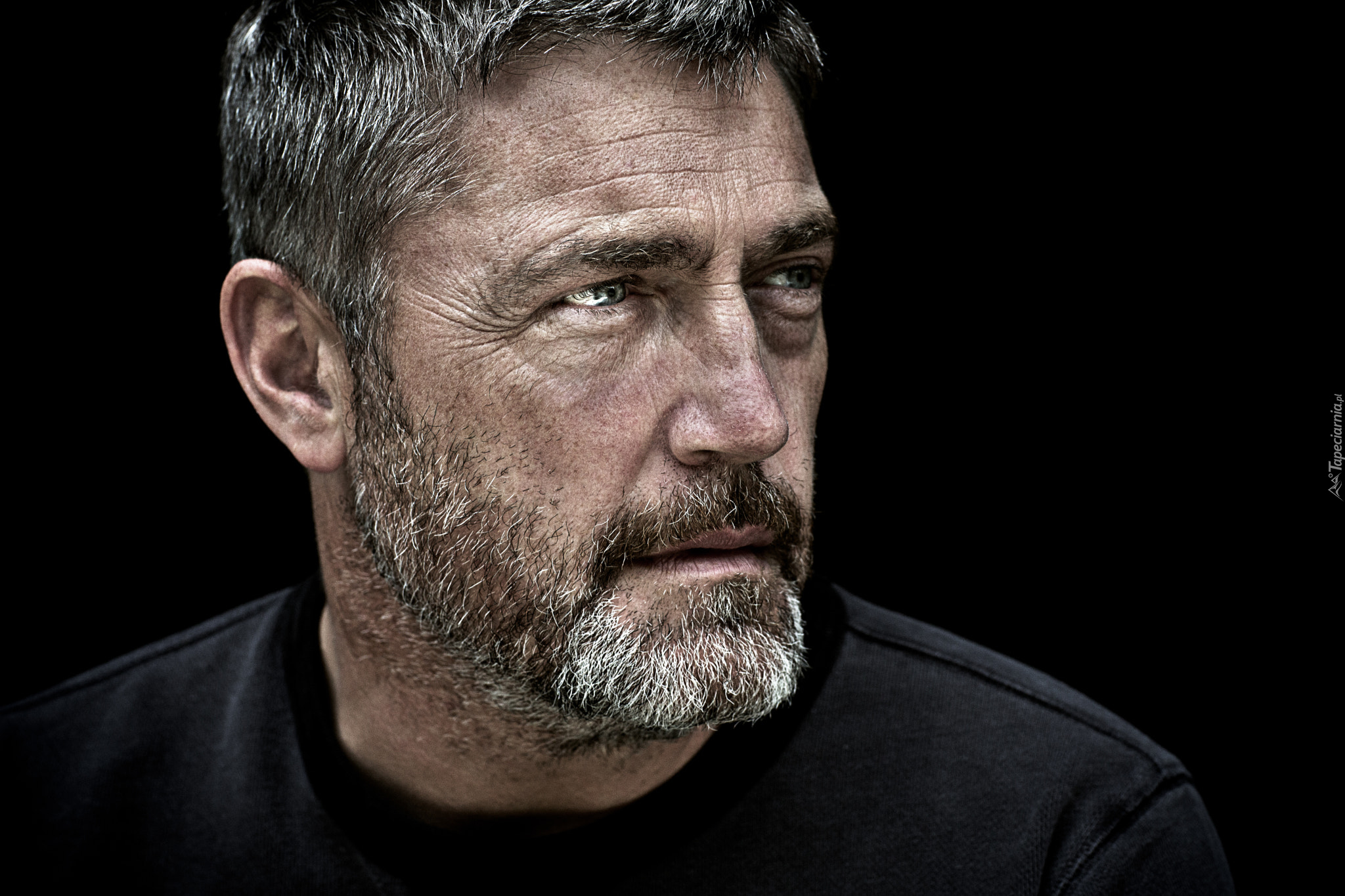 Aktor, Vincent Regan, Broda, Twarz, Szare, Włosy, Mężczyzna