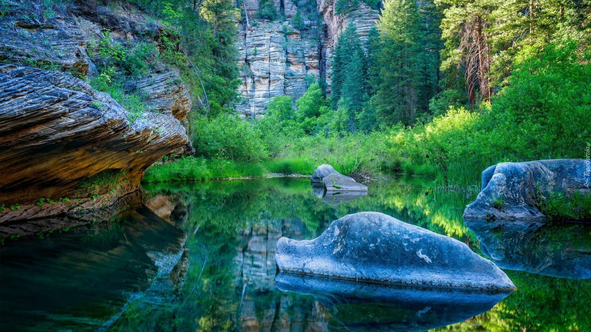 Stany Zjednoczone, Arizona, Obszar West Clear Creek Wilderness, Wąwóz West Clear Creek Canyon,  Kamienie, Drzewa, Skały