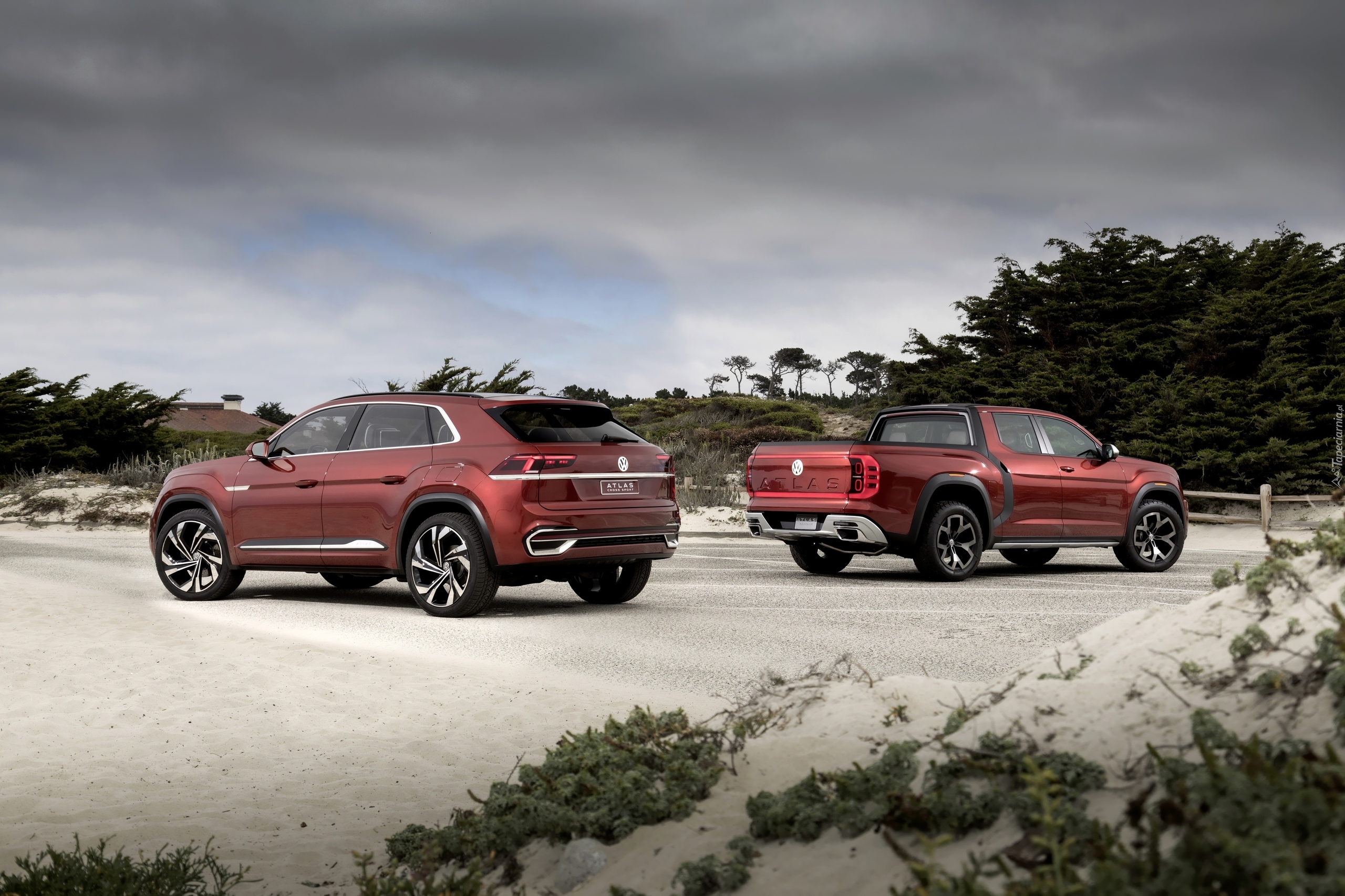 Volkswagen Atlas Cross Sport, Volkswagen Atlas Tanoak, 2019, Concept