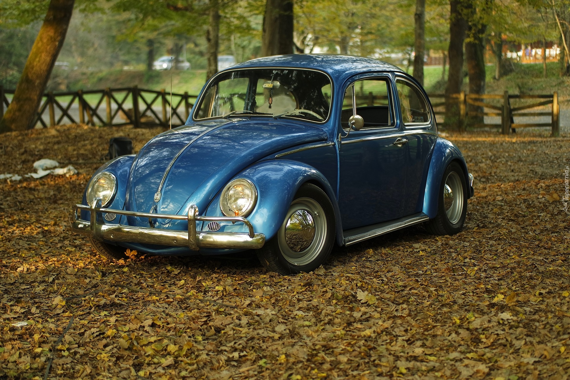 Volkswagen Beetle, Garbus, Park