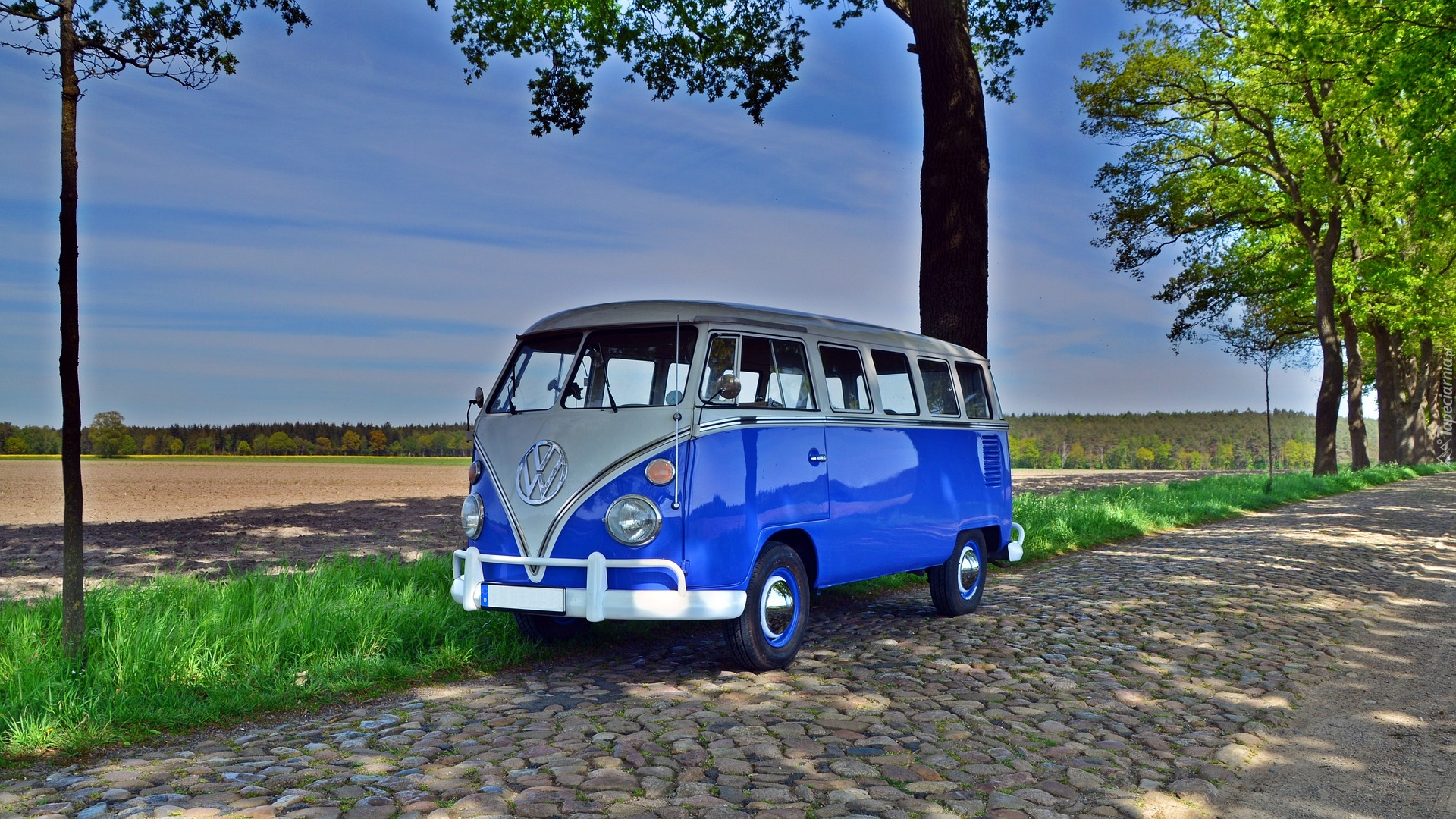 Niebieski, Zabytkowy, Volkswagen Transporter T1