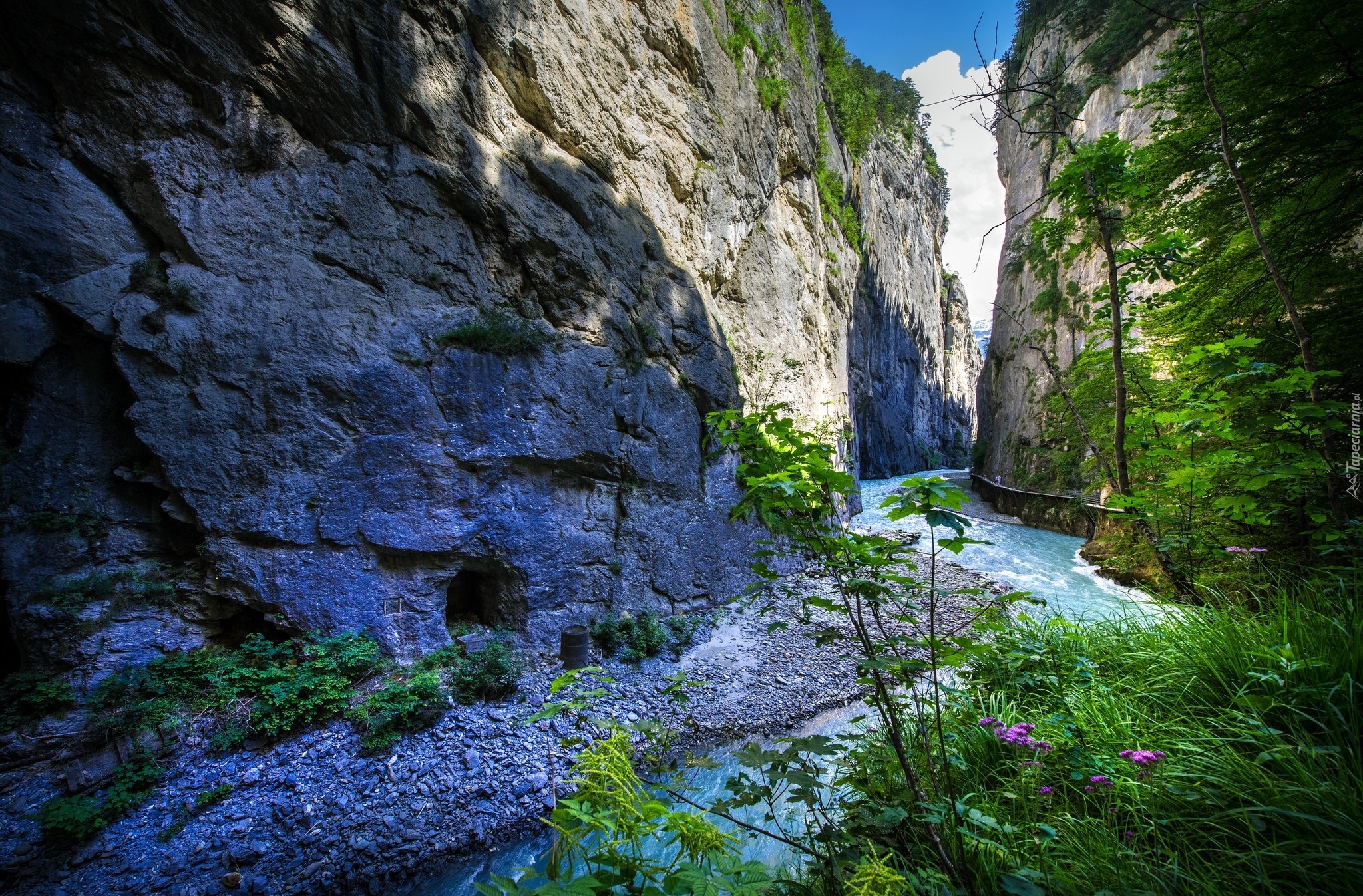 Rzeka Aare, Wąwóz Aare Gorge, Wioska Haslital, Kanton Berno, Szwajcaria, Skały