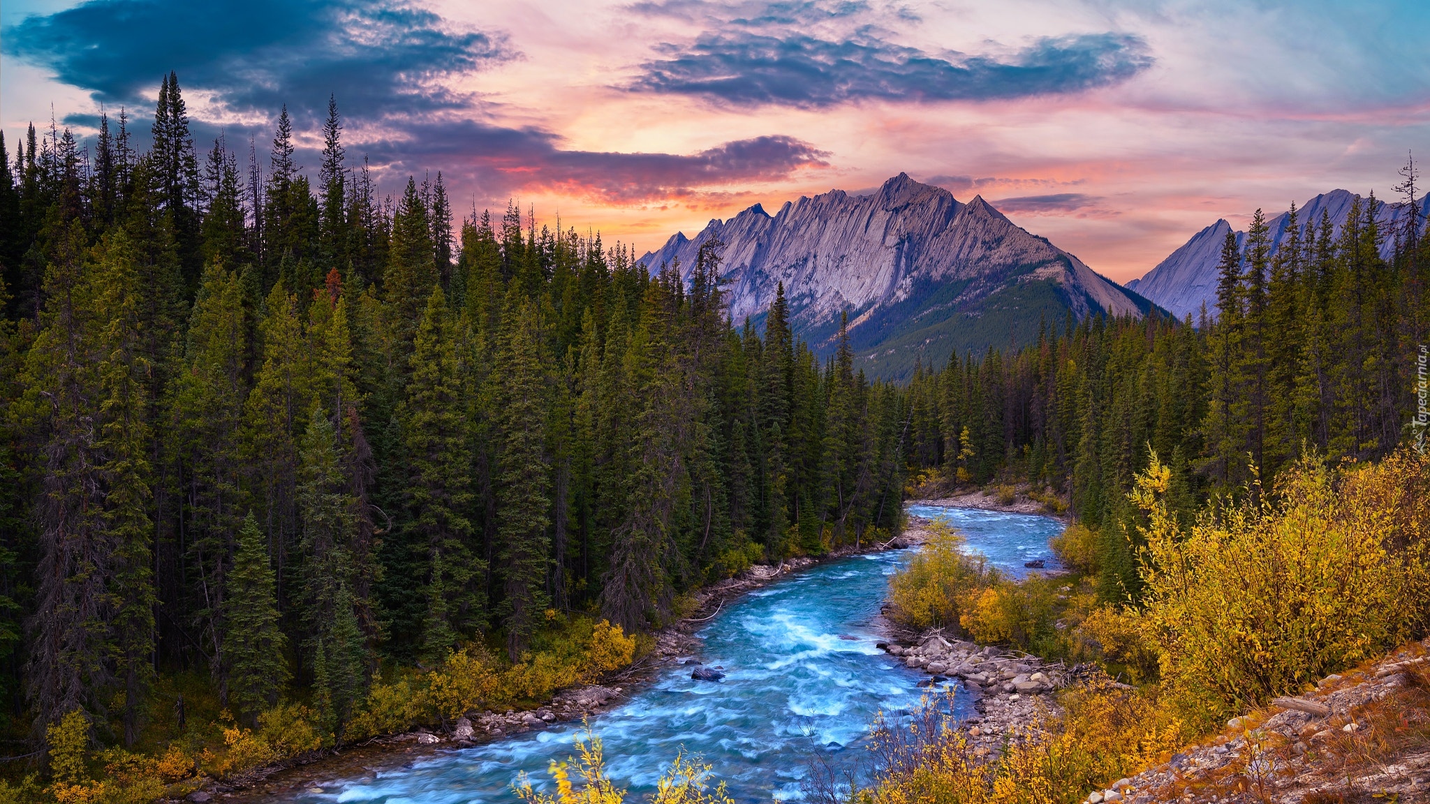 Kanada, Alberta, Park, Narodowy Jasper, Góry, Colin Range, Evelyn Creek, Rzeka, Drzewa, Las