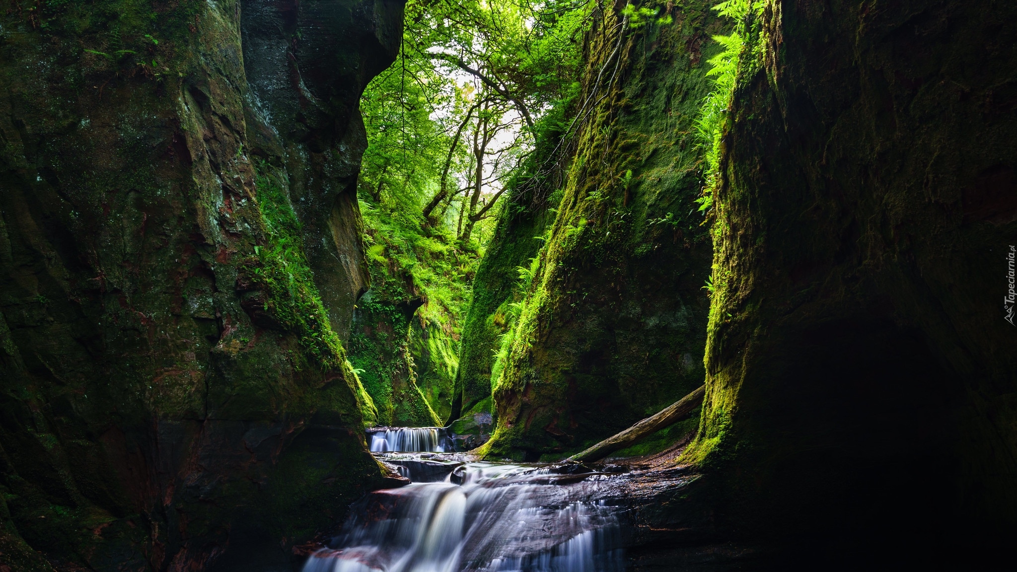 Szkocja, Wąwóz Finnich Glen, Rzeka Carnock Burn, Stirling, Szkocja