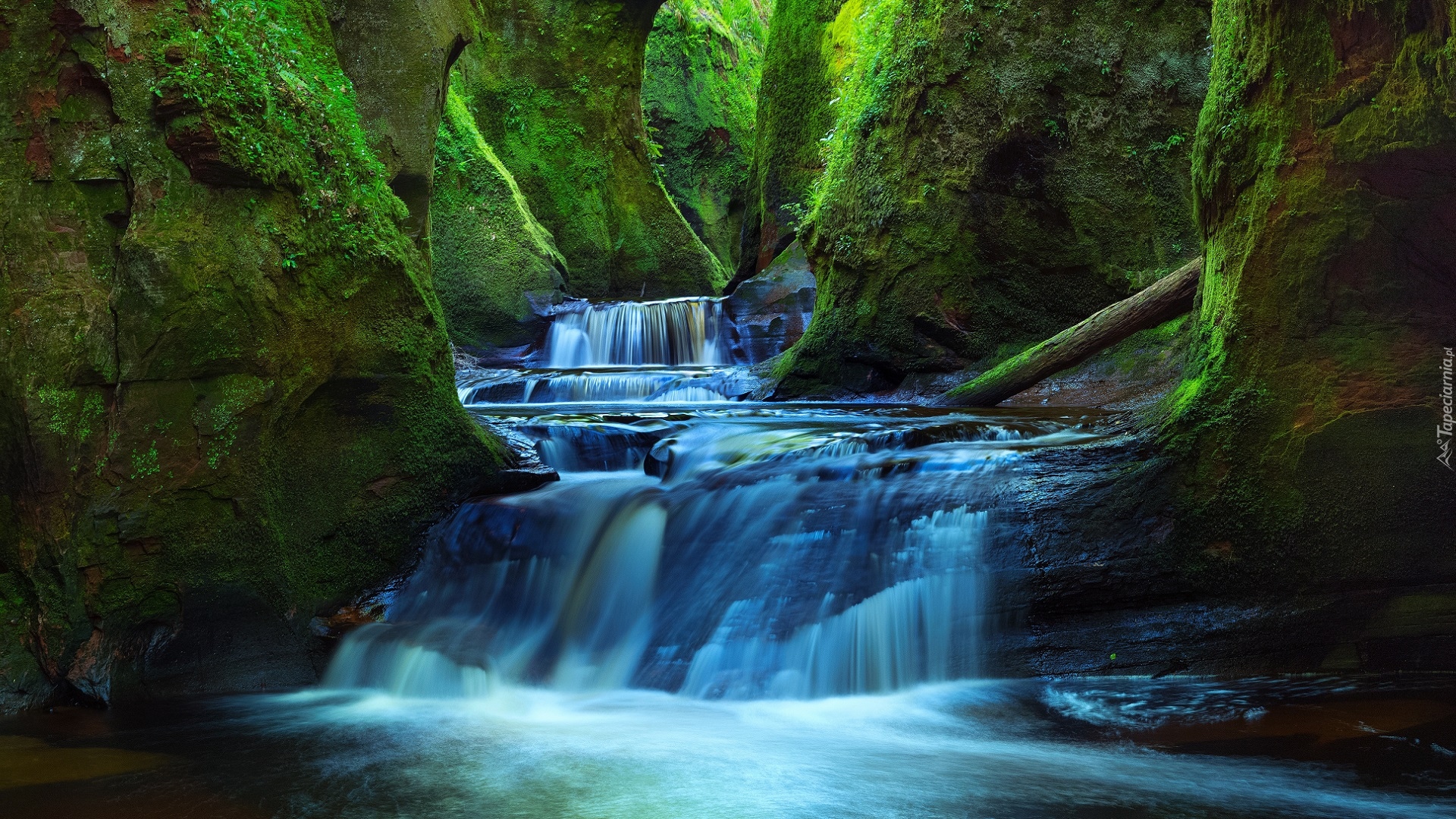 Szkocja, Wąwóz Finnich Glen, Rzeka Carnock Burn