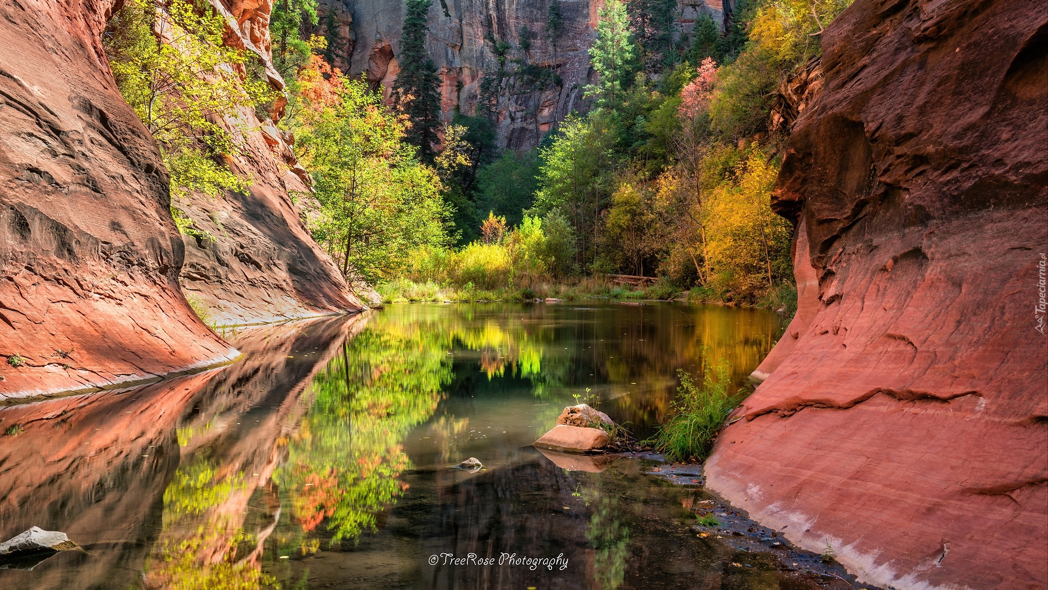 Stany Zjednoczone, Arizona, Sedona, Skały, Wąwóz, Rzeka, Drzewa, Odbicie