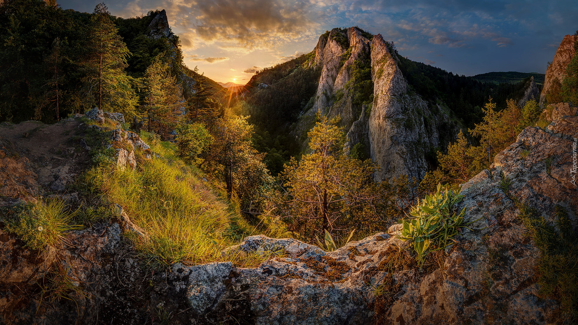 Góry Strażowskie, Drzewa, Skały, Wąwóz Maniński, Słowacja