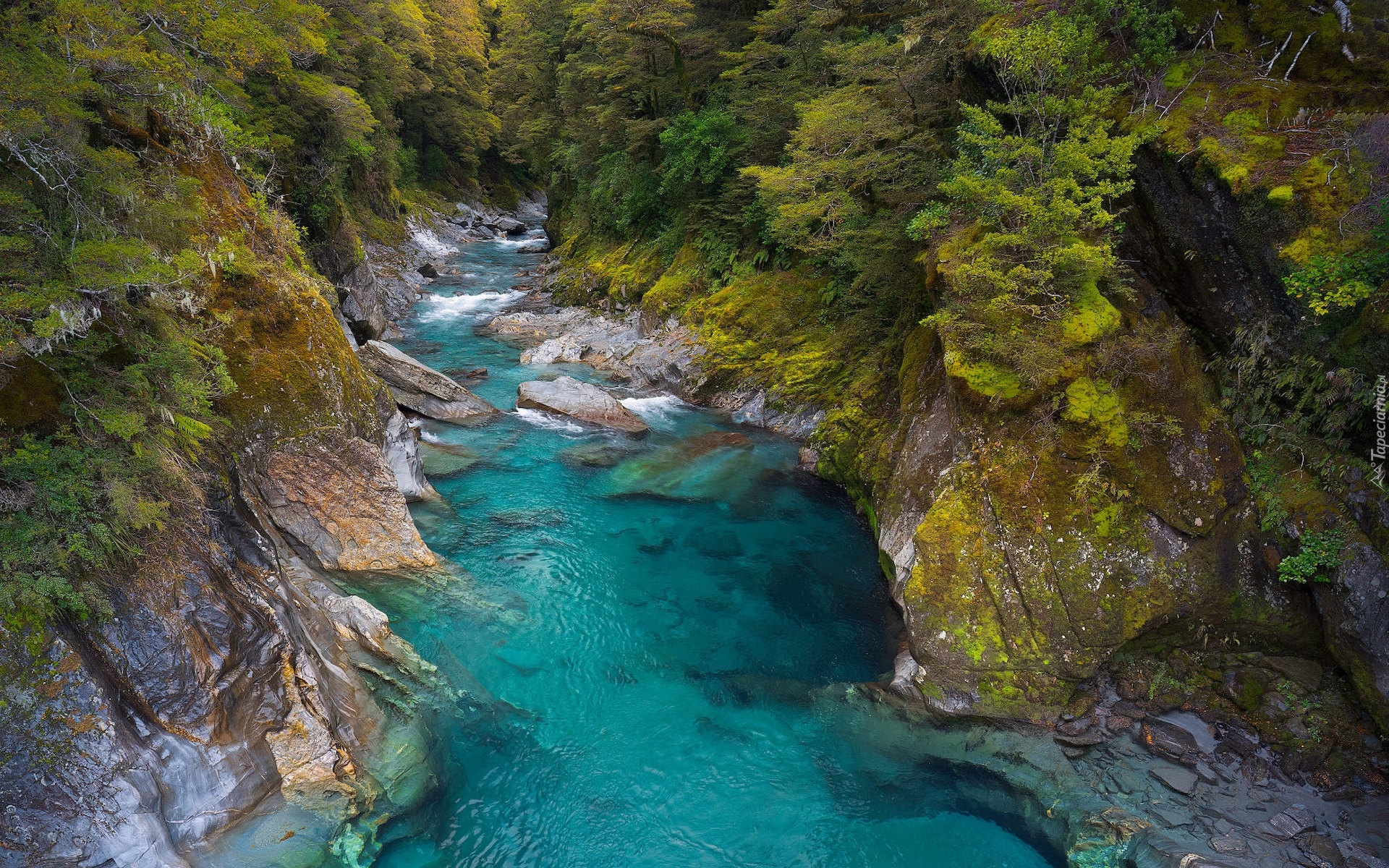 Nowa Zelandia, Otago, Park Narodowy Mount Aspiring, Wąwóz, Skały, Rzeka, Makarora River, Roślinność