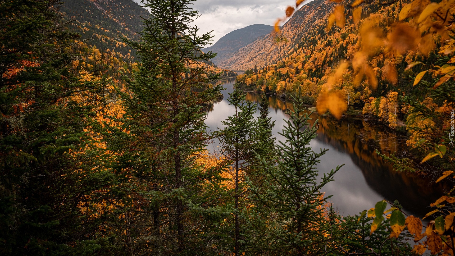 Jesień, Góry, Wąwóz, Rzeka, Malbaie River, Drzewa, Park Narodowy Hautes Gorges de la Riviere Malbaie, Prowincja Quebec, Kanada