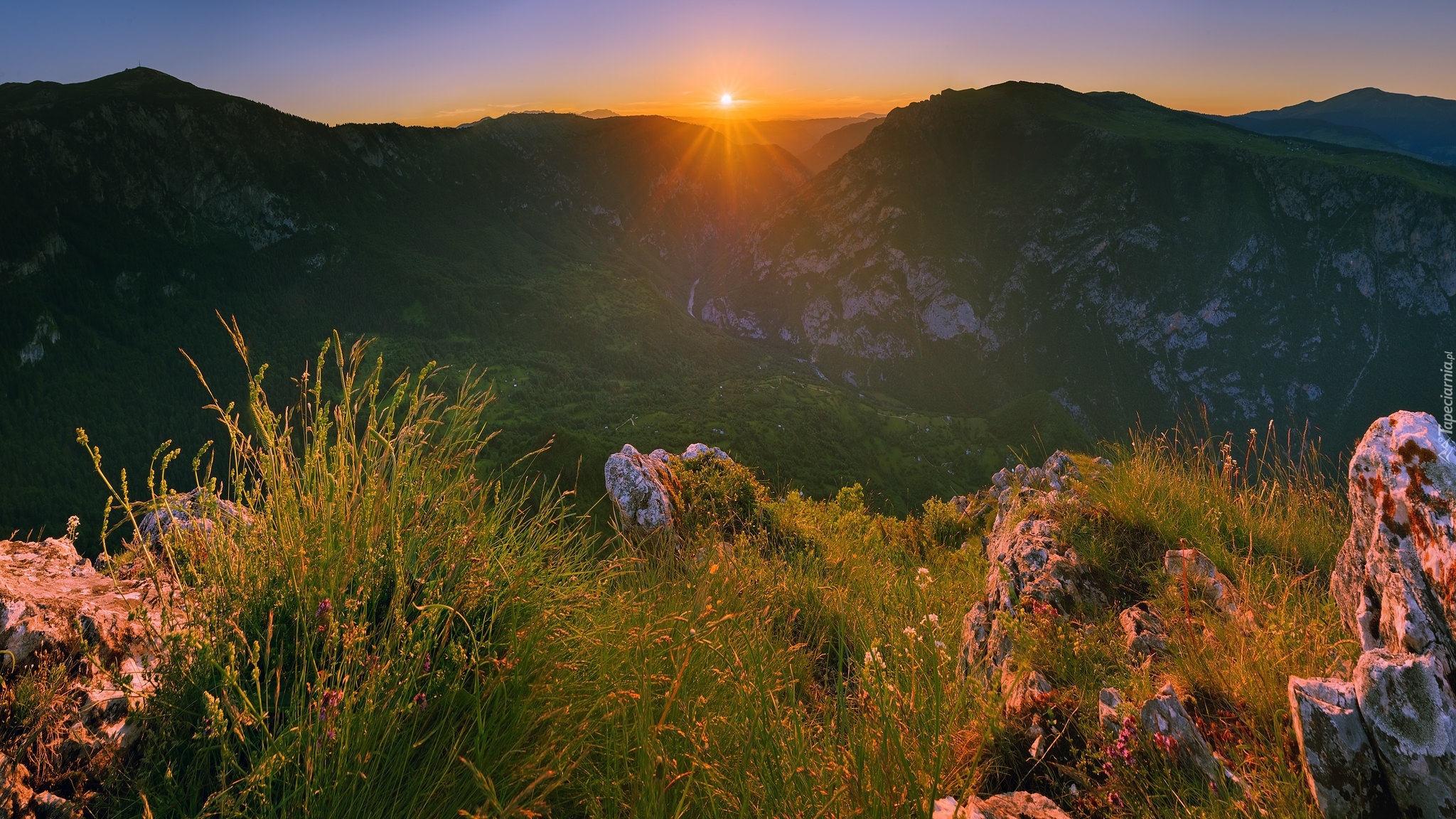 Góry Dynarskie, Skały, Rzeka Tara, Wąwóz, Trawa, Roślinność, Wschód słońca, Czarnogóra