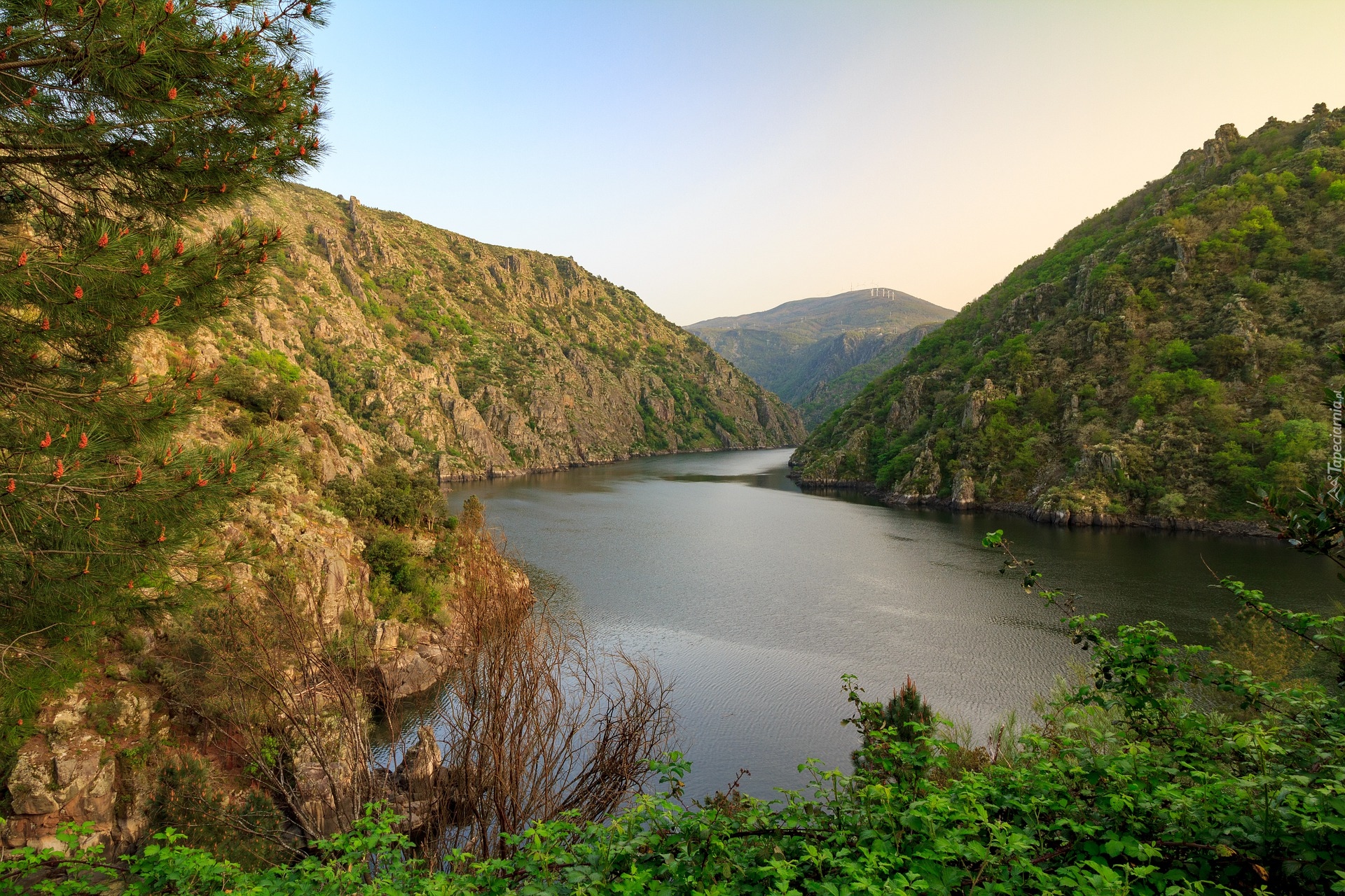 Hiszpania, Galicja, Rzeka Sil, Wąwóz Sil Canyon, Góry, Drzewa