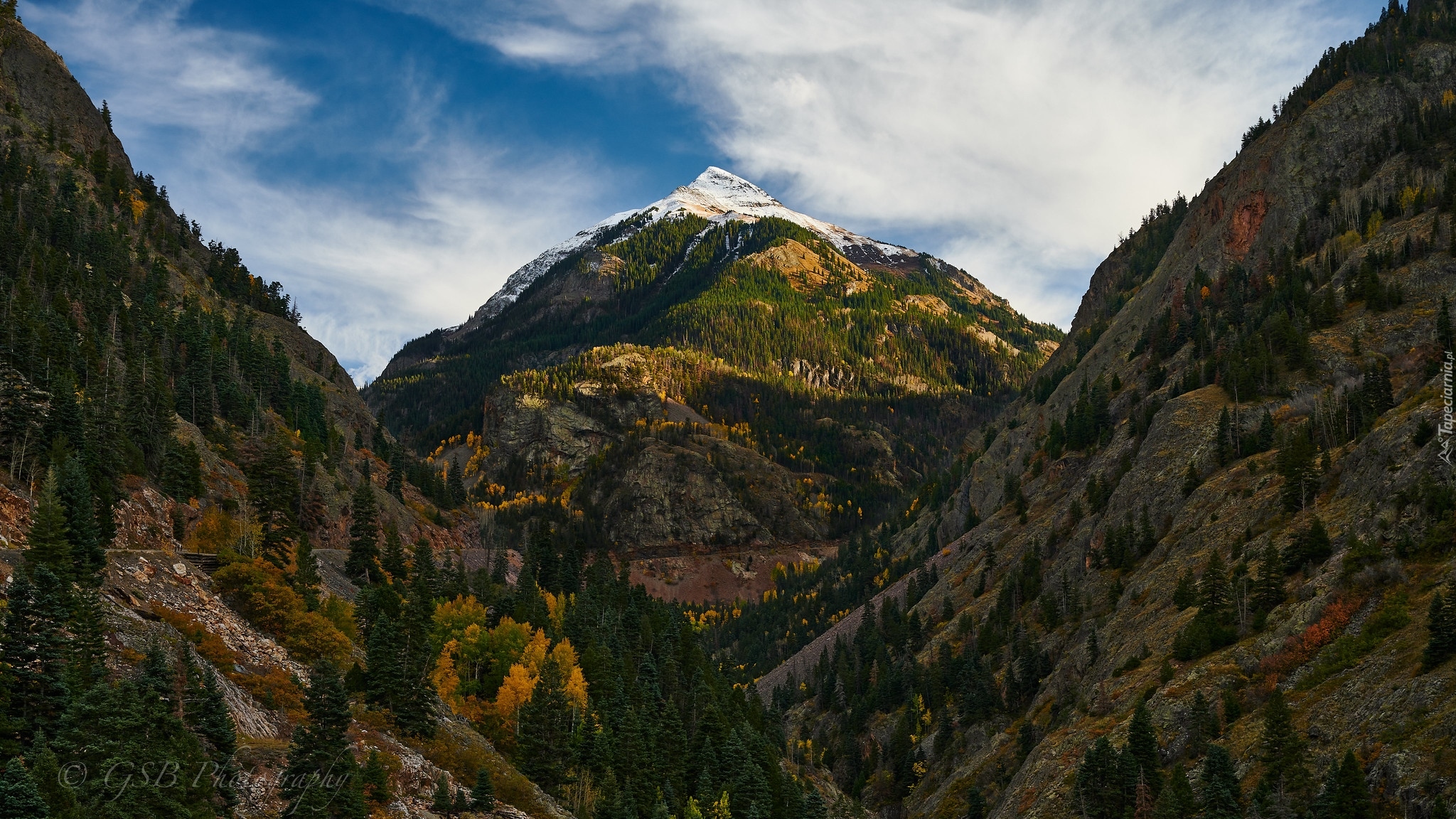 Porośnięte, Góry, Góra, Abrams Mountain, Skały, Drzewa, Wąwóz, Uncompahgre Gorge, Kolorado, Stany Zjednoczone