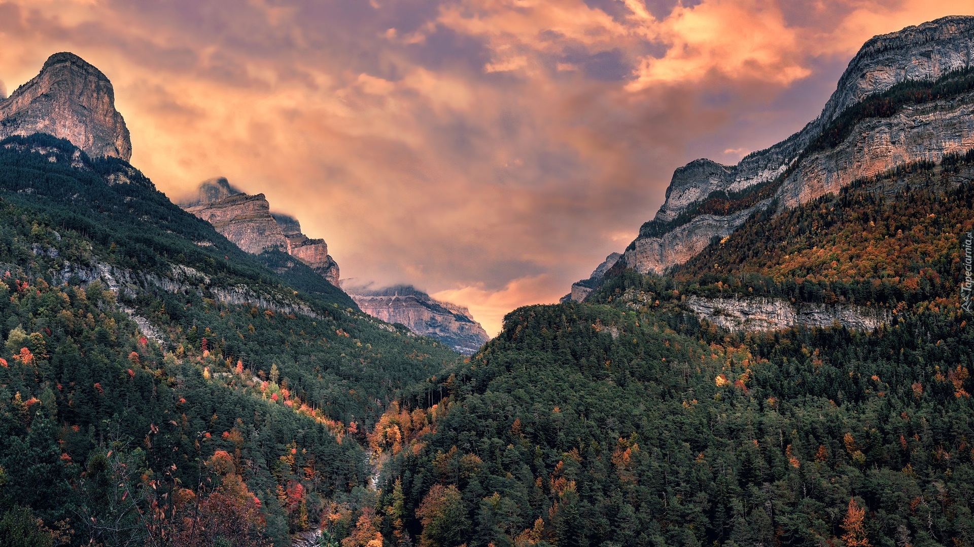 Góry, Pireneje, Wąwóz, Drzewa, Park Narodowy Ordesa y Monte Perdido, Hiszpania