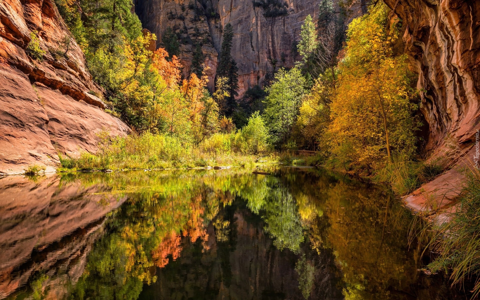 Stany Zjednoczone, Stan Arizona, Sedona, Skały, Wąwóz, Rzeka, Drzewa, Odbicie