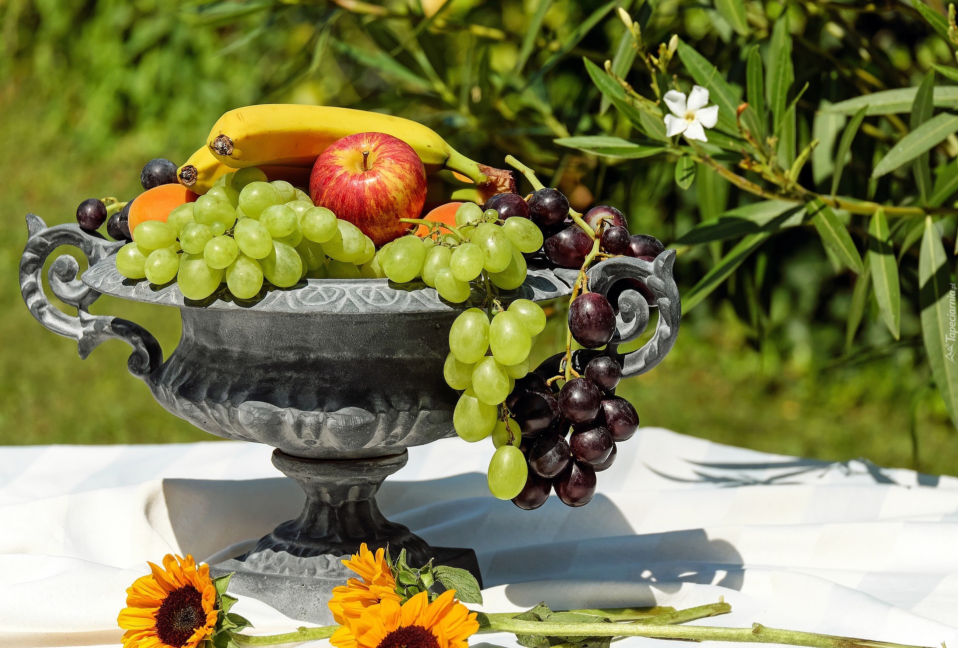 Owoce, Winogrona, Waza, Kwiaty