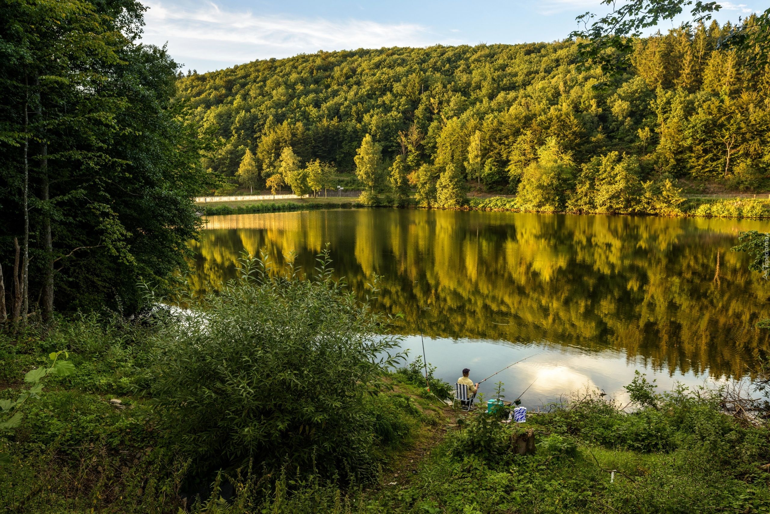 Niemcy, Jezioro Biggesee, Lasy, Wędkowanie