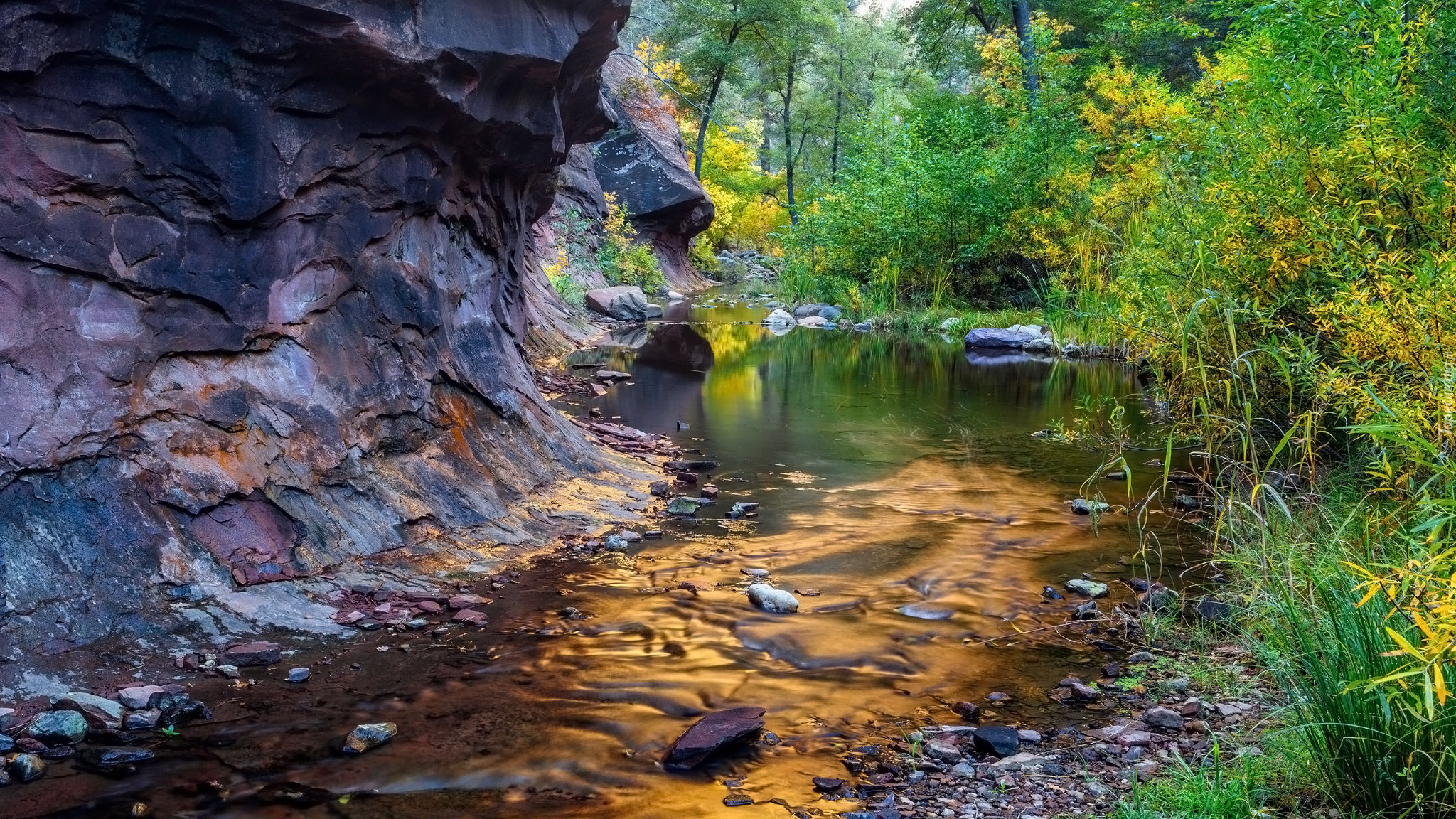 West Fork Oak Creek, Sedona, Arizona, Stany Zjednoczone, Las, Drzewa, Rzeka, Skały