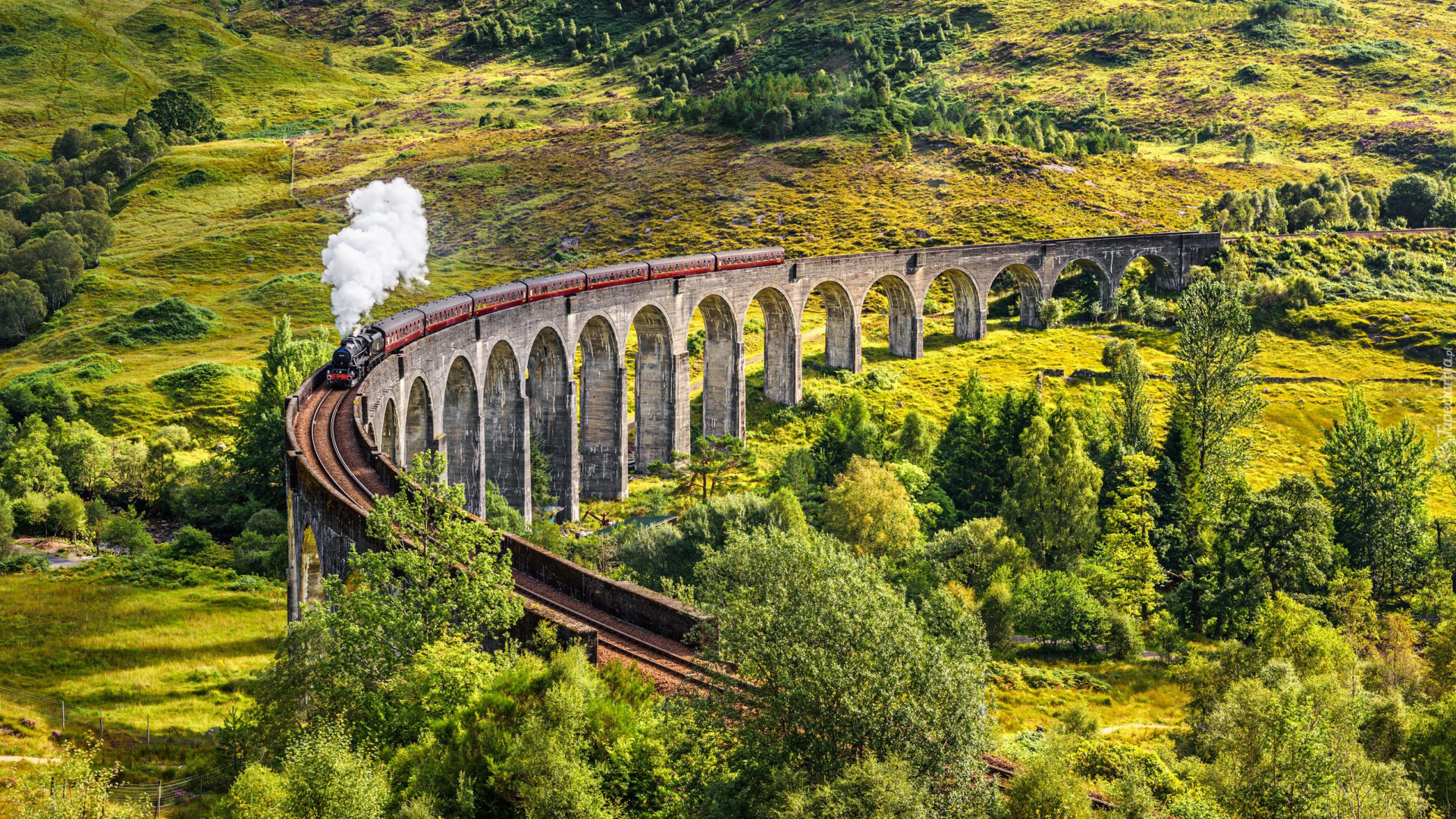 Szkocja, Miejscowość Glenfinnan, Dolina, Wiadukt Glenfinnan, Pociąg, Roślinność