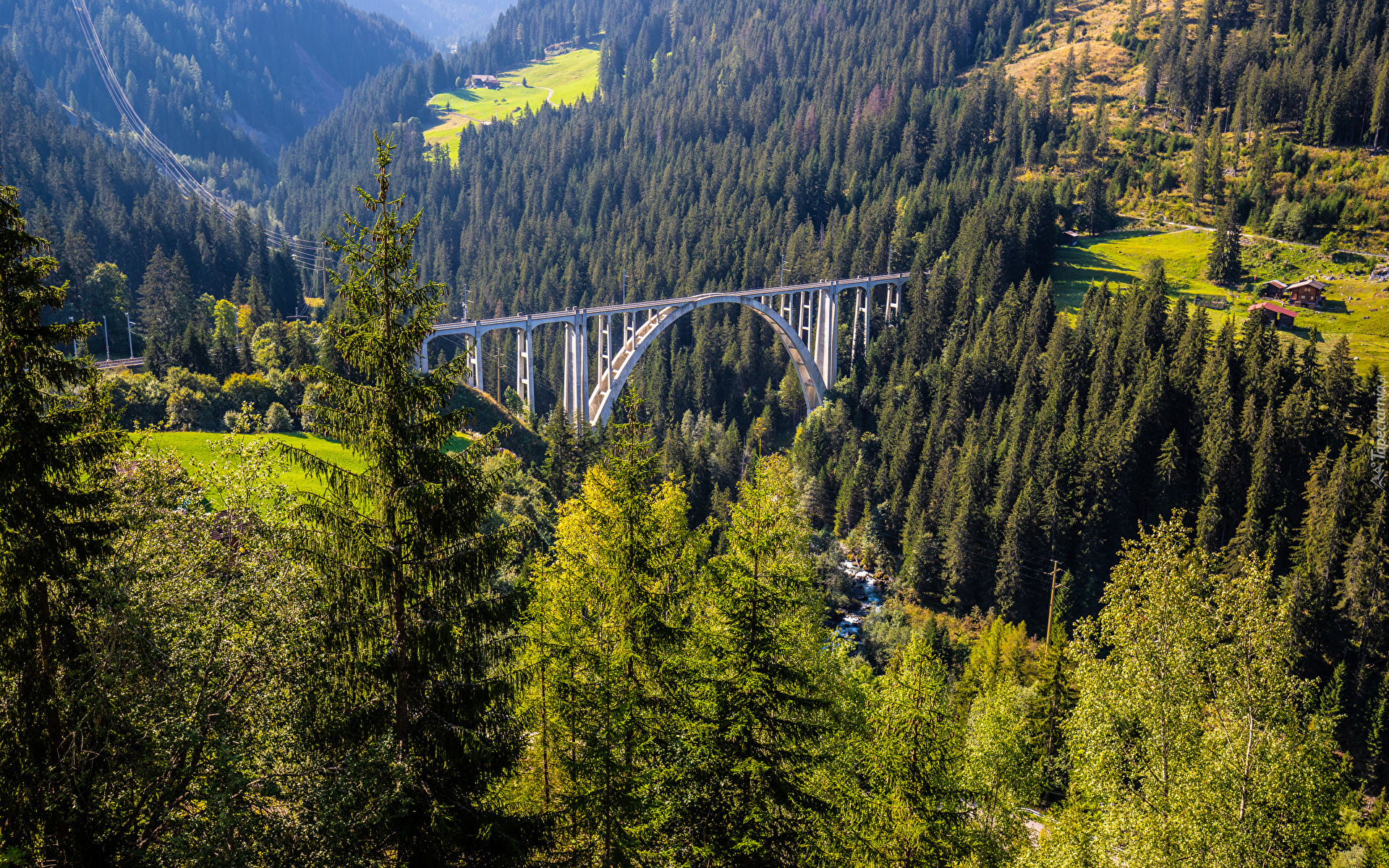 Szwajcaria, Kanton Gryzonia, Góry, Alpy, Most, Wiadukt Langwieser, Lasy, Drzewa