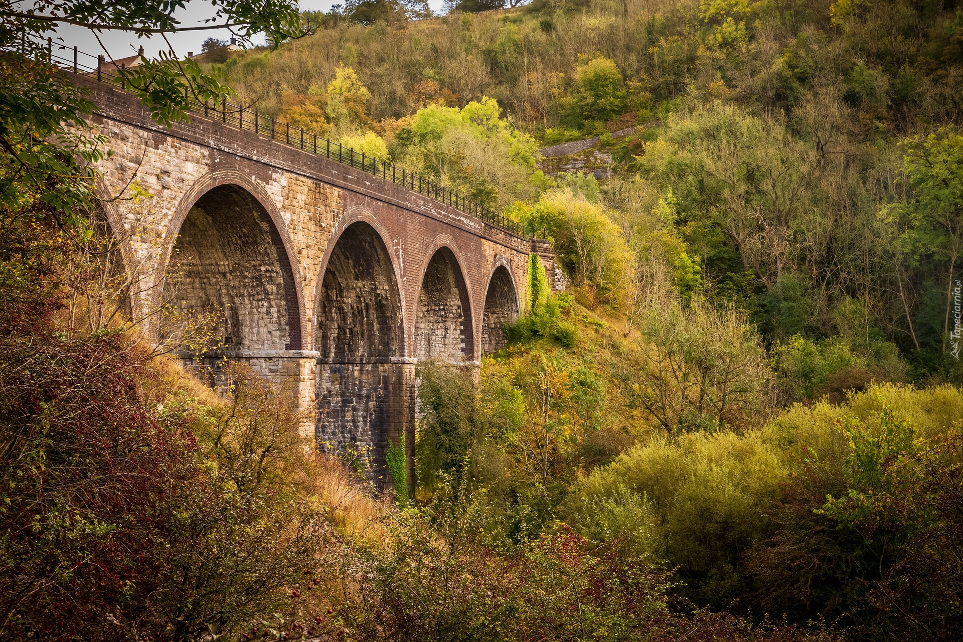 Jesień, Drzewa, Most, Wiadukt, Dolina, Monsal Dale, Anglia