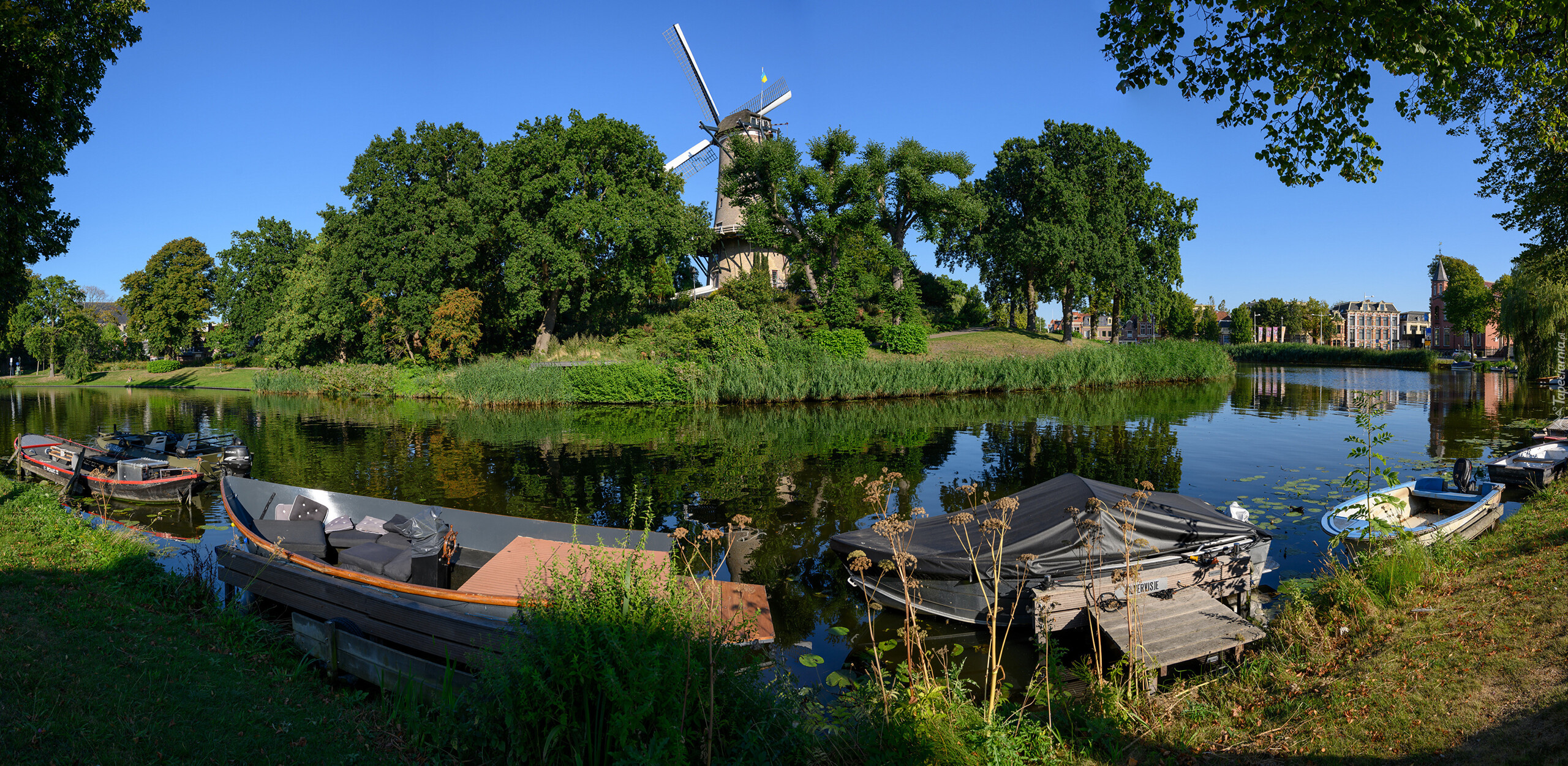 Holandia, Alkmaar, Kanał wodny, Rzeka, Łódki, Wiatrak, Drzewa, Domy