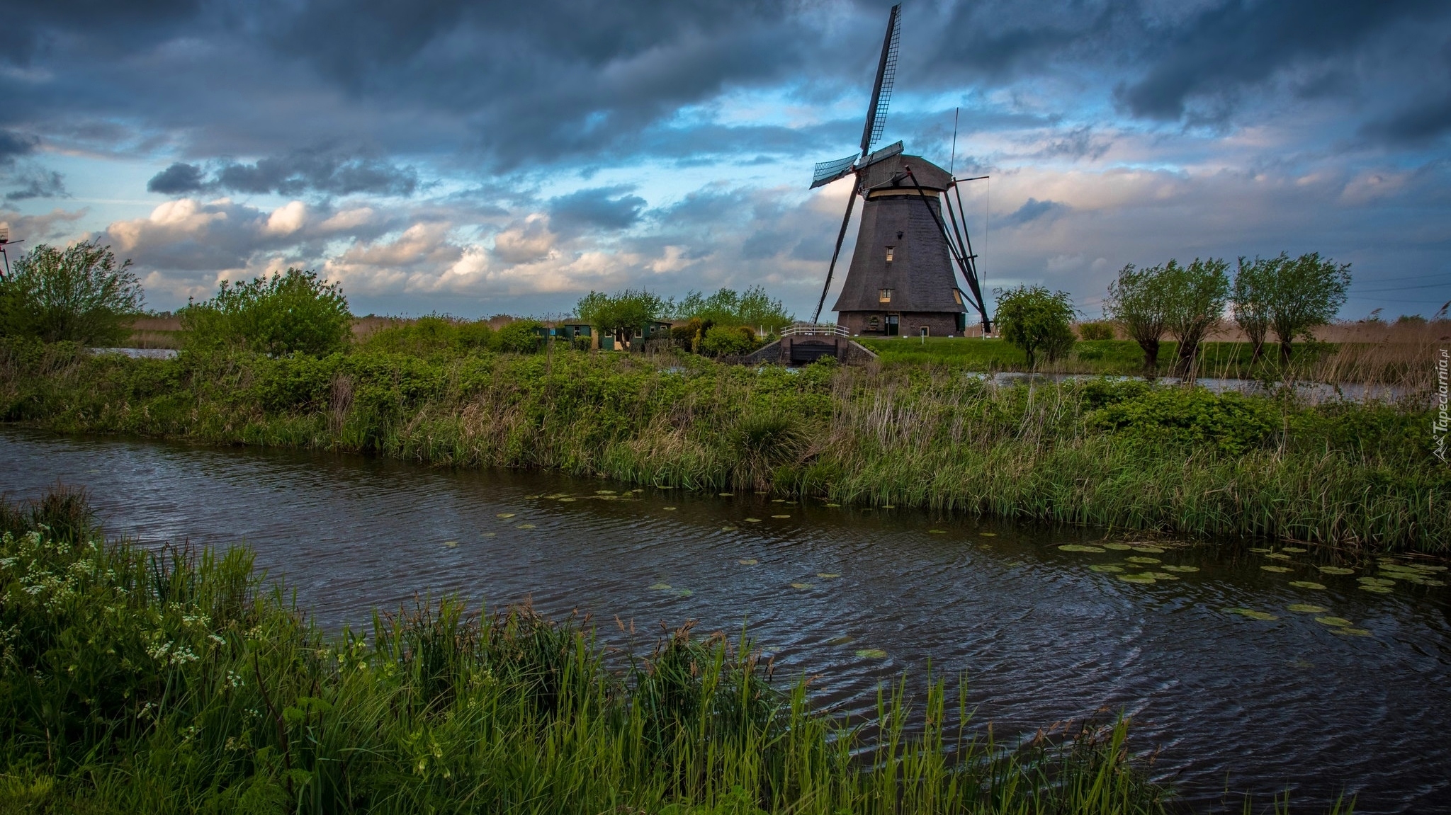 Wiatrak, Rzeka, Trawa, Drzewa, Kinderdijk, Holandia