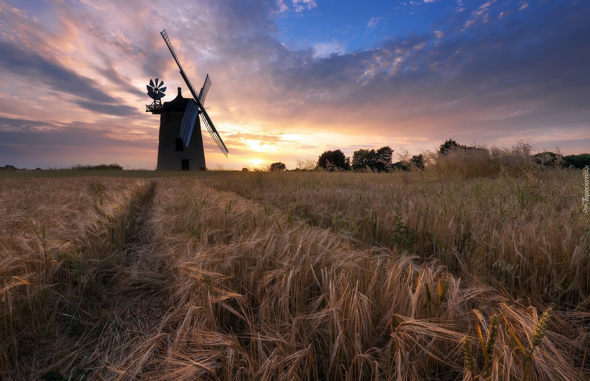 Pole, Wiatrak, Zachód słońca, Great Haseley, Hrabstwo Oxfordshire, Anglia