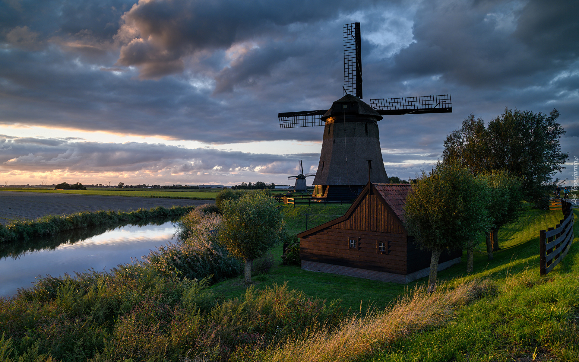 Holandia, Schermerhorn, Gmina Alkmaar, Wiatraki, Dom, Rzeka, Drzewa, Chmury