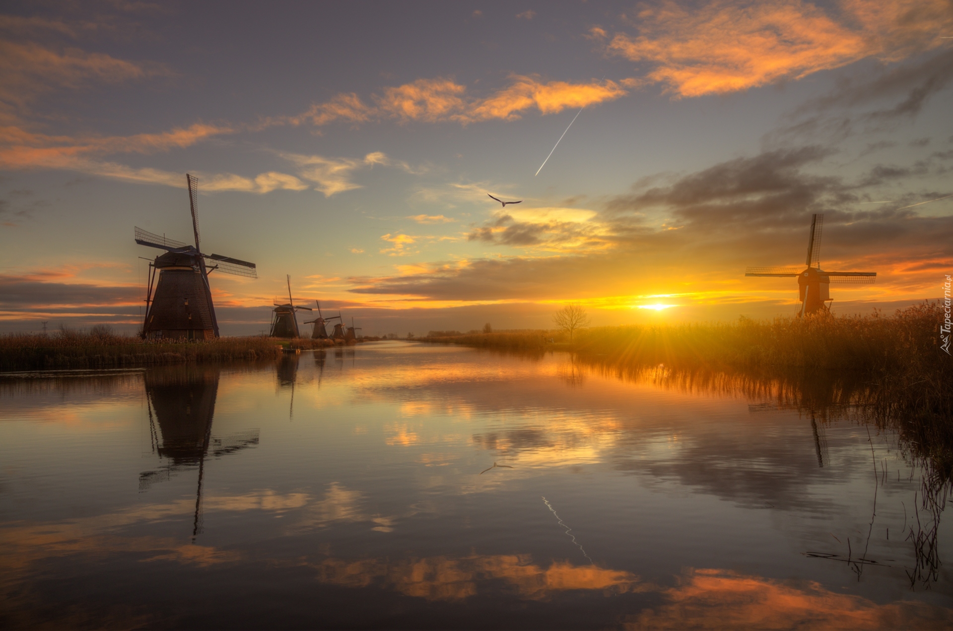 Rzeka, Wiatraki, Wschód słońca, Chmury, Wieś Kinderdijk, Holandia