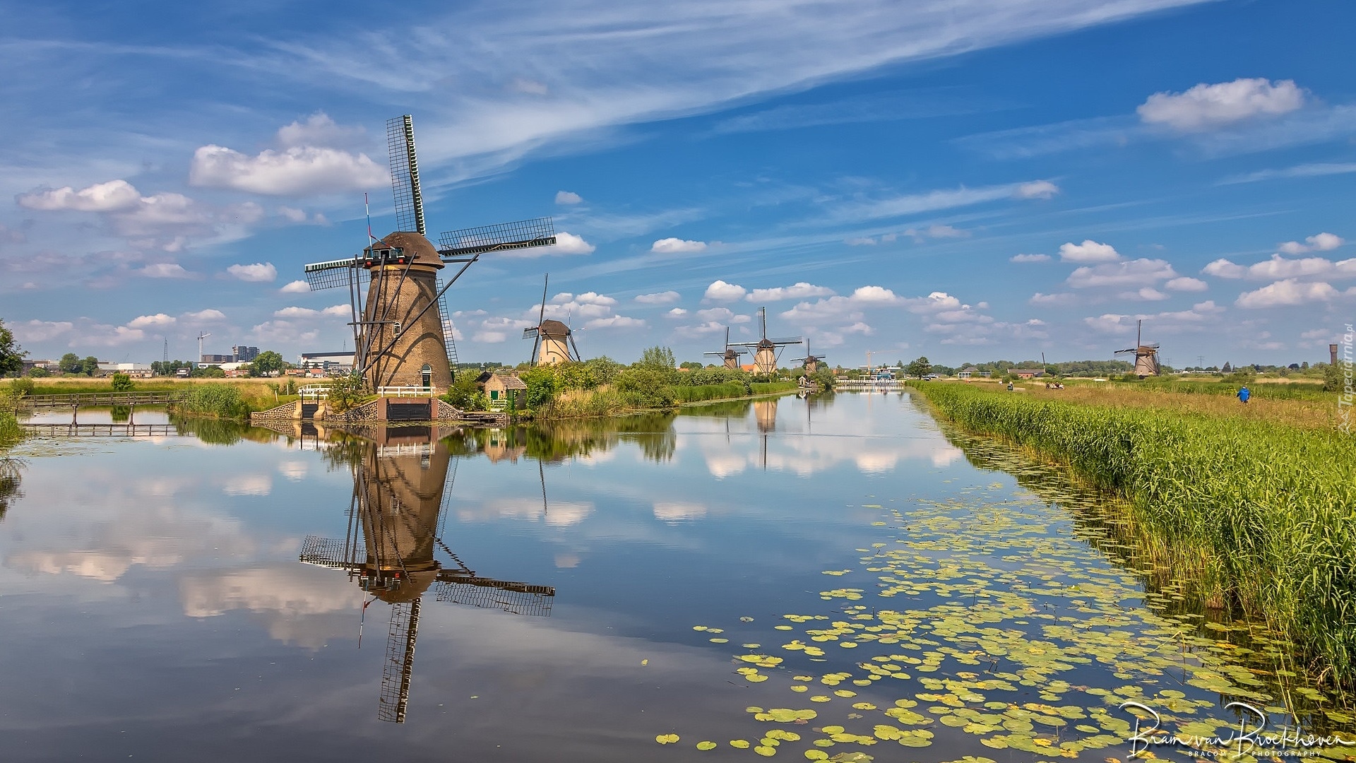 Wiatraki, Rzeka, Wieś Kinderdijk, Trawa, Holandia