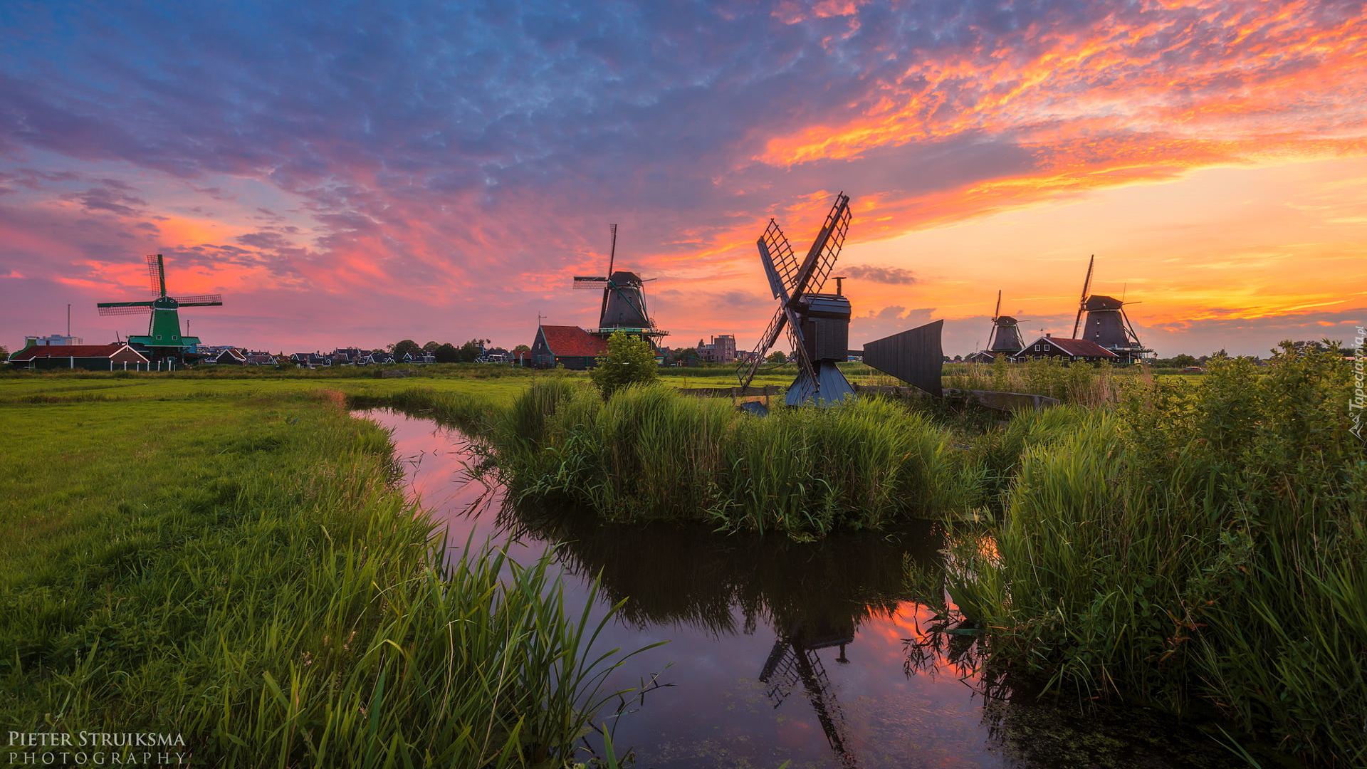 Rzeka, Trawa, Wiatraki, Zachód słońca, Skansen Zaanse Schans, Zaandam, Holandia