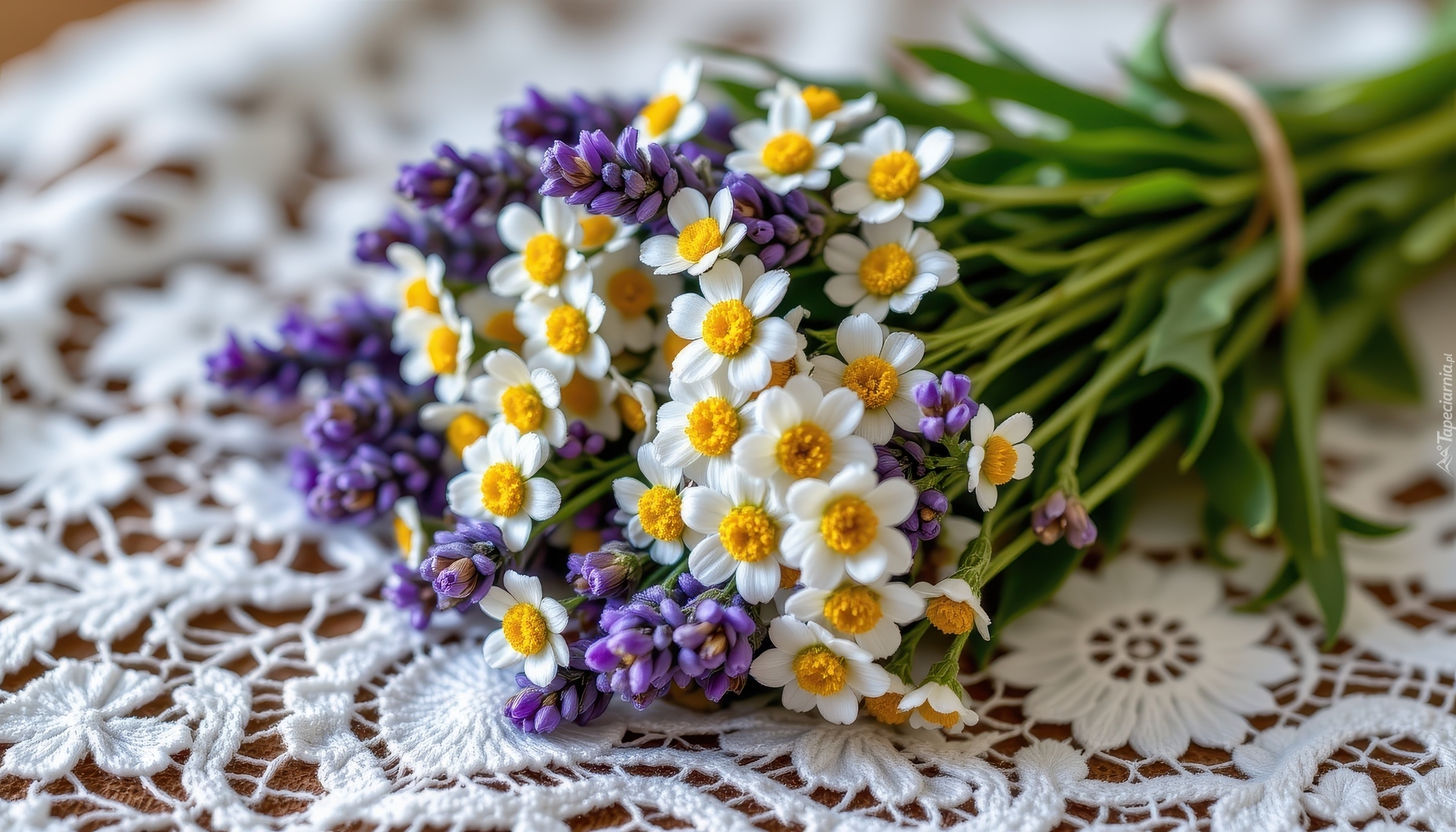 Bukiet, Lawenda, Białe, Kwiaty