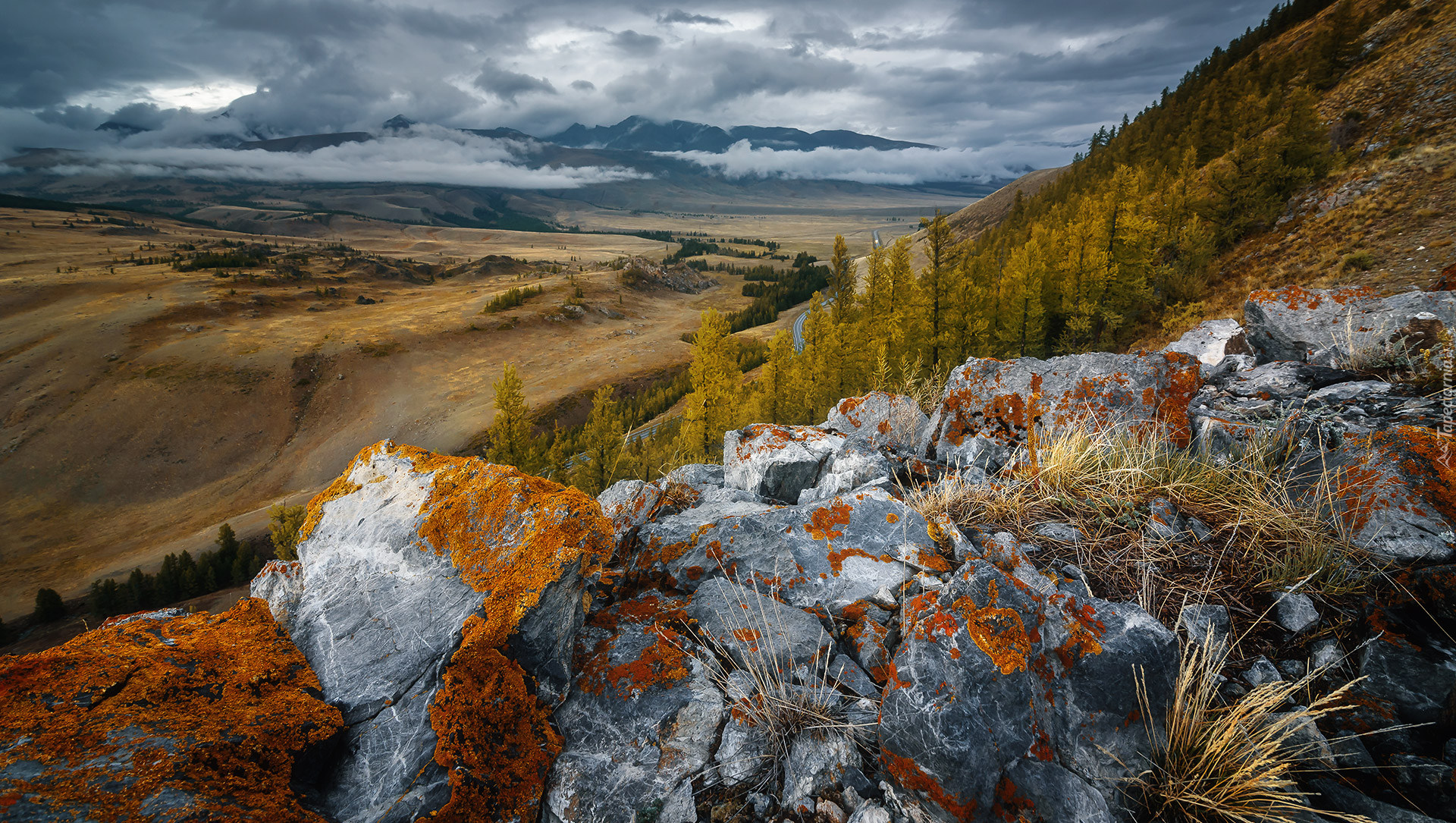 Góry Kurajskie, Drzewa, Skały, Step Kurai, Republika Ałtaj, Rosja