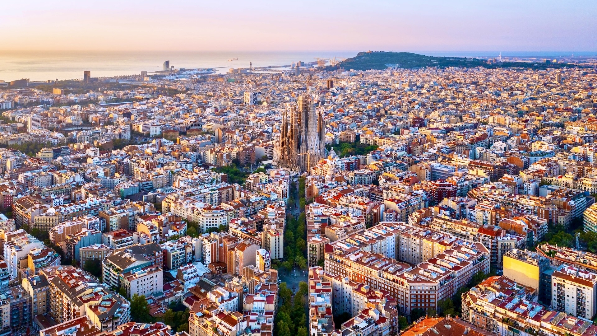 Hiszpania, Barcelona, Z lotu ptaka, Domy, Kościół, Sagrada Familia, Panorama, Zdjęcie miasta