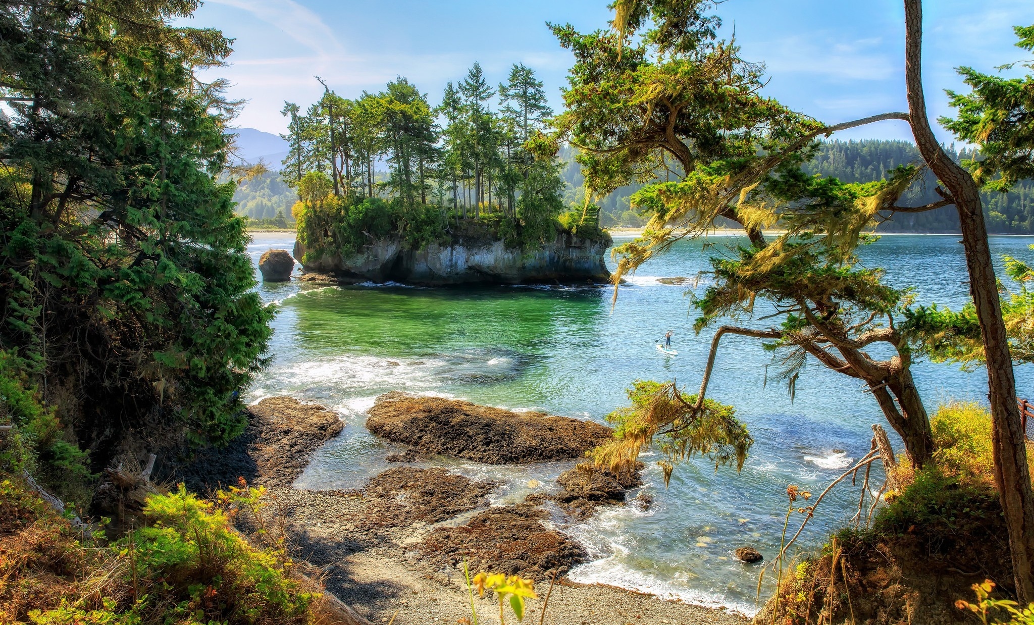 Stany Zjednoczone, Stan Waszyngton, Cieśnina Juan de Fuca, Park Salt Creek Recreation Area, Jezioro, Wysepka, Drzewa, Lasy