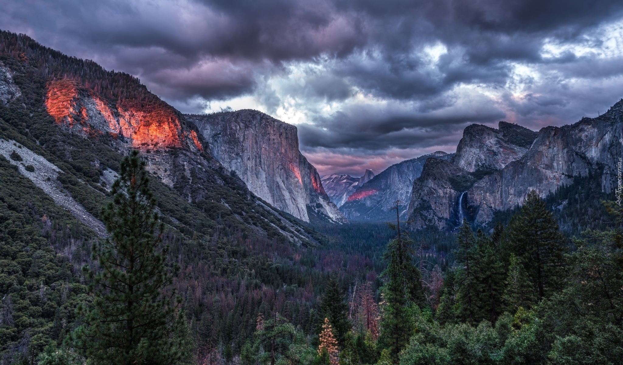 Park Narodowy Yosemite, Dolina Yosemite Valley, Stan Kalifornia, Stany Zjednoczone, Góry, Chmury, Świerki